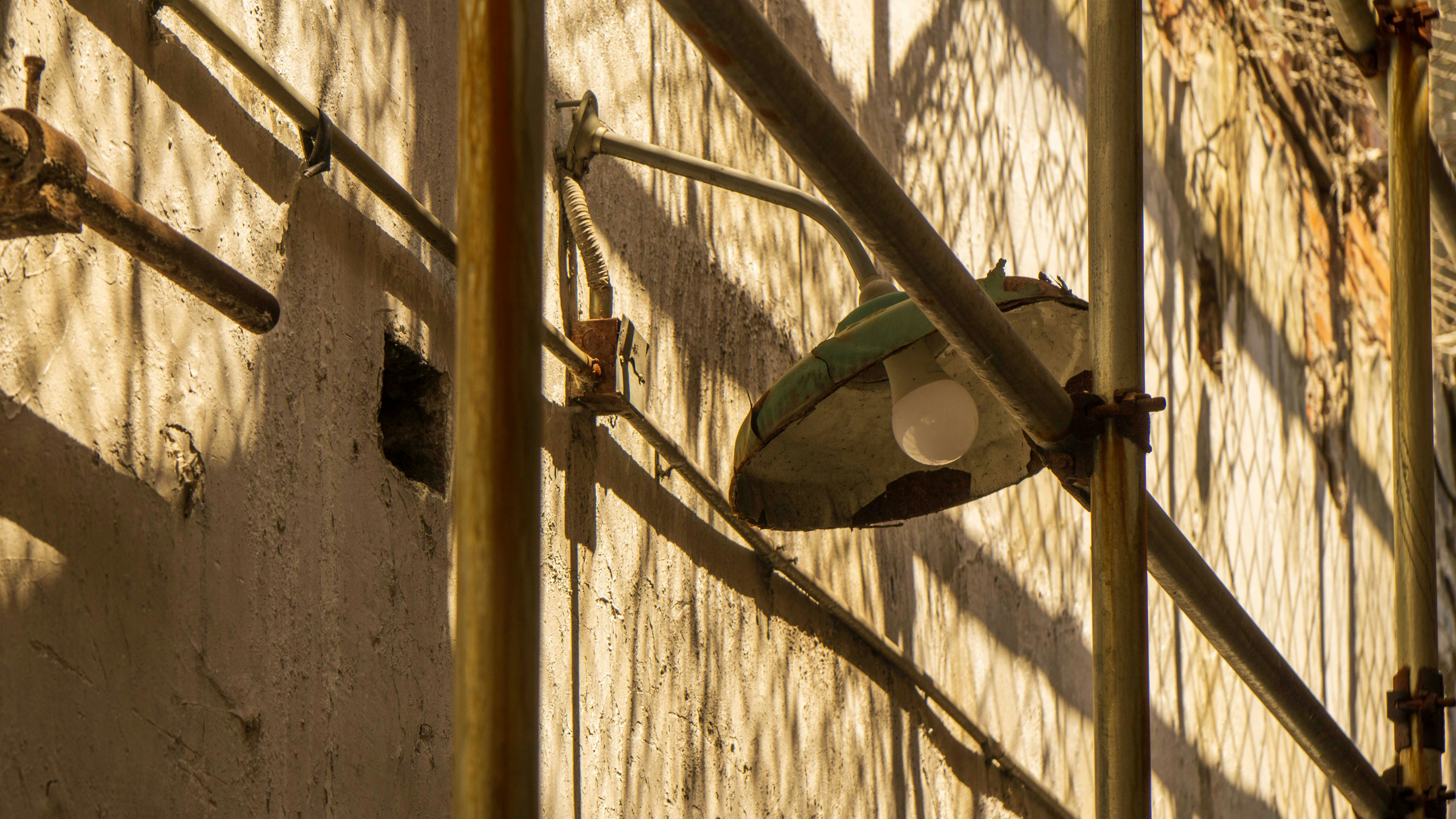 寵物界的黑暗秘密！獸醫不敢說的真相，看完你還敢養？