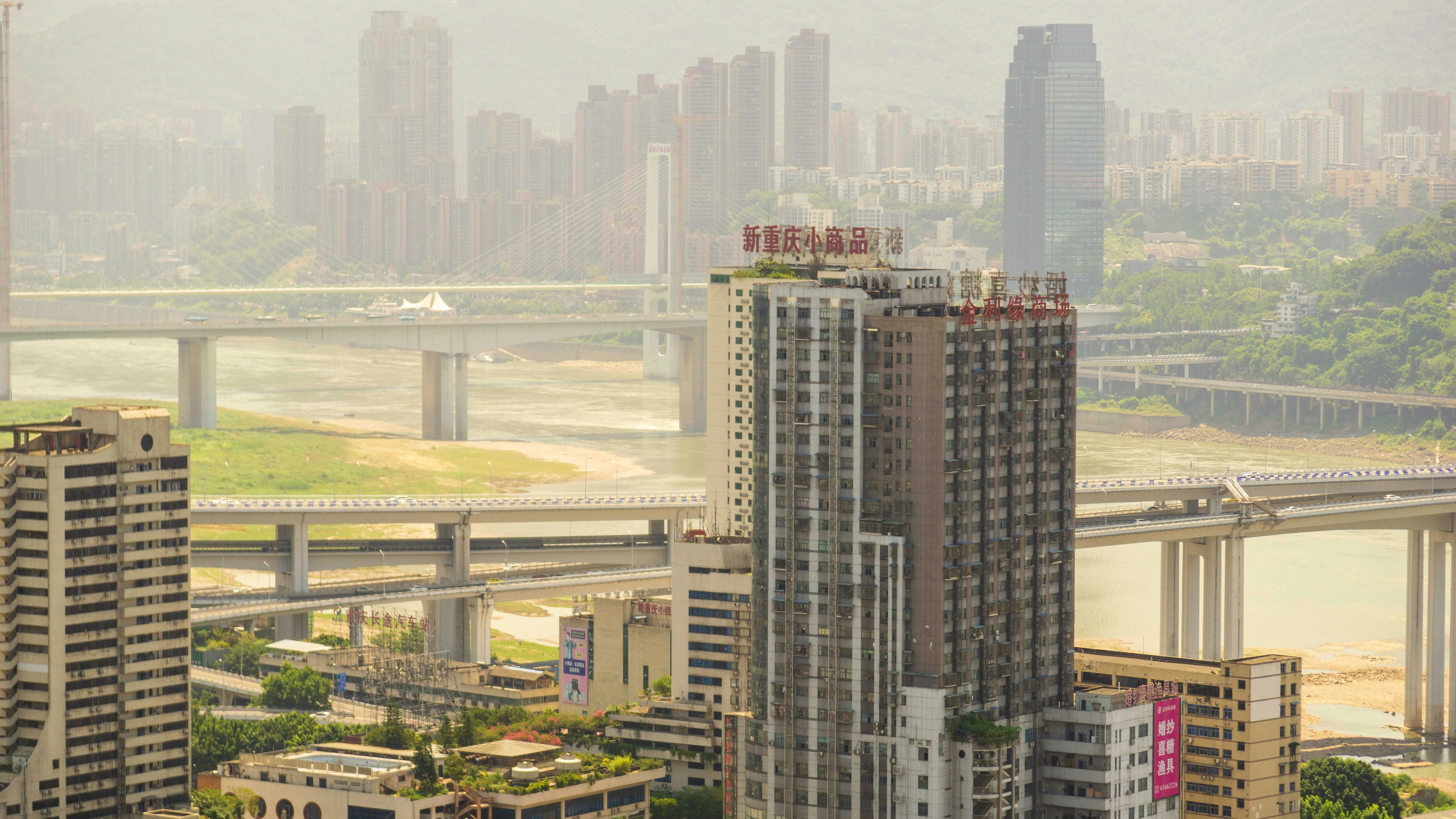 鏟屎官崩潰！99%的人都不知道的寵物NG行為，你中了幾個？