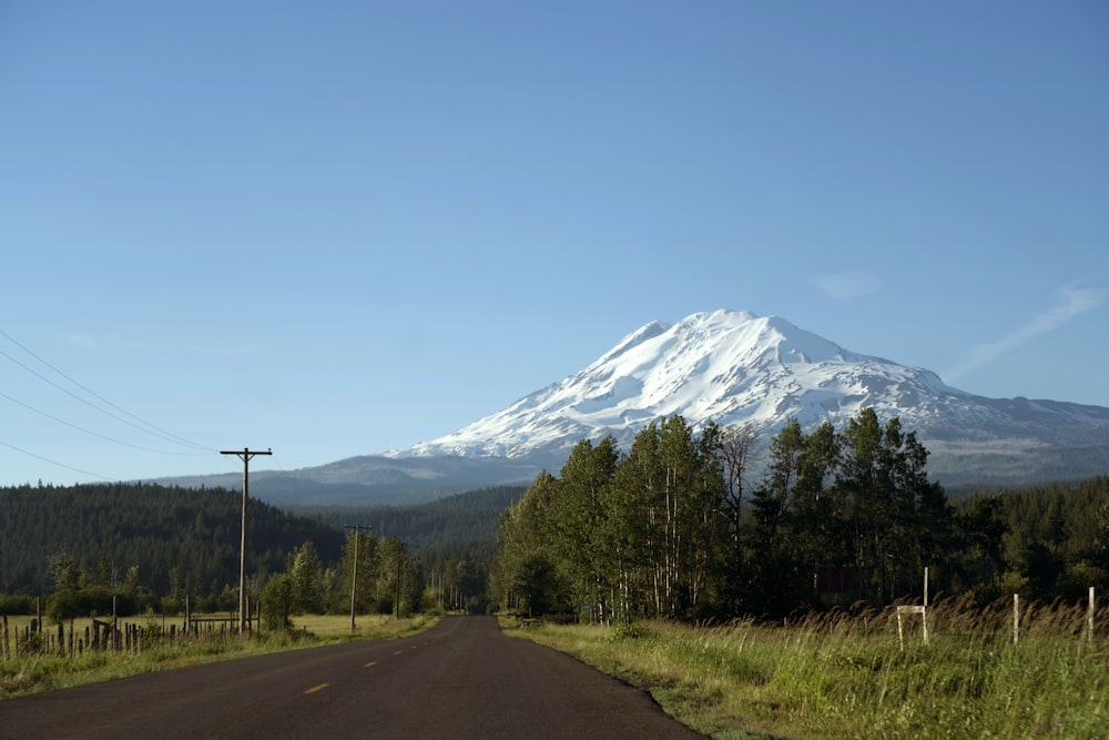 a road with trees and a mountain in the background