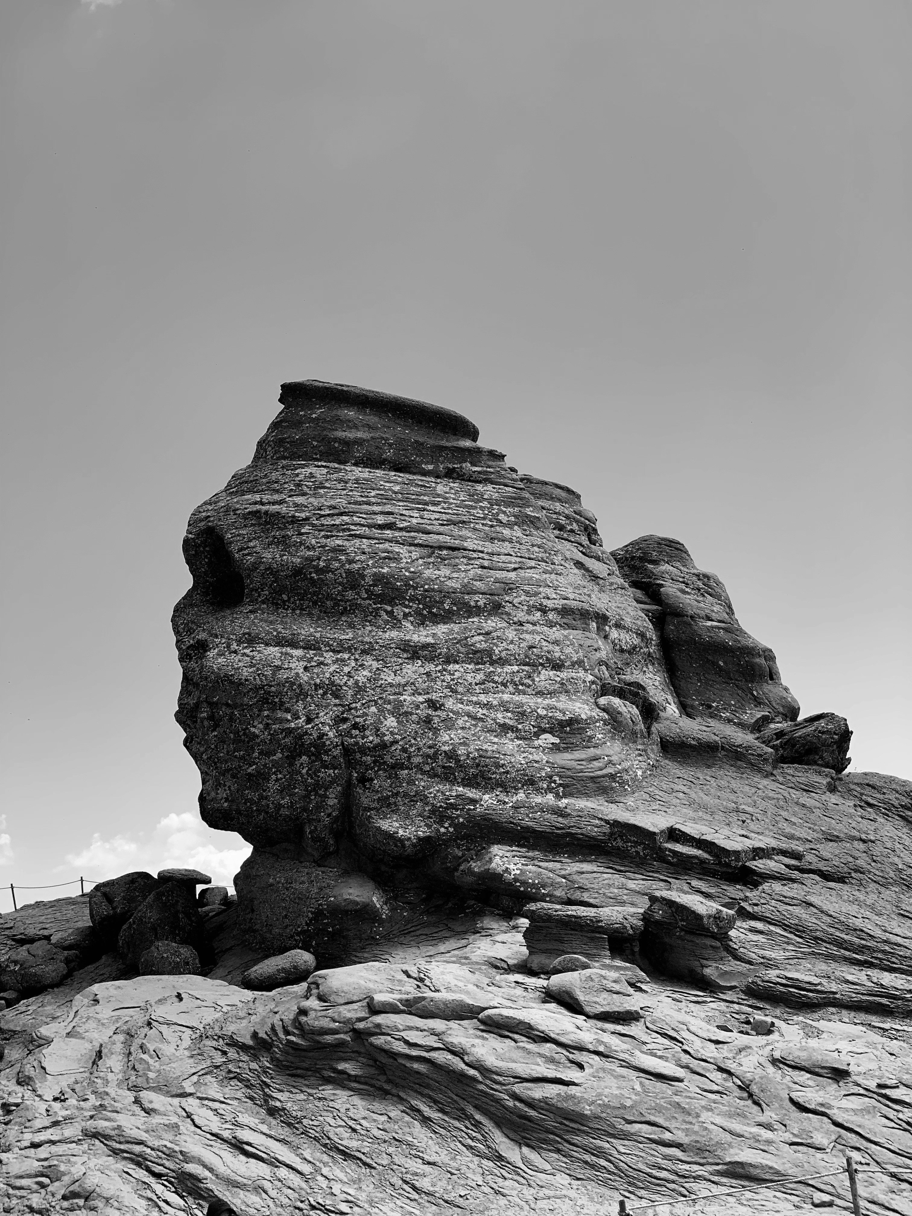 Photo by catalindumitrascu