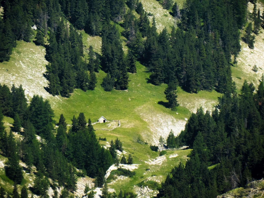 eine Landschaft mit Bäumen und einem Gewässer in der Ferne