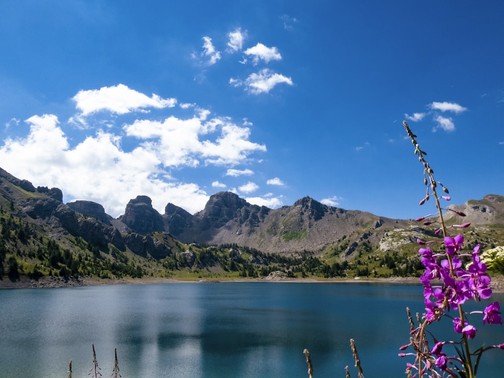 a body of water with mountains in the background