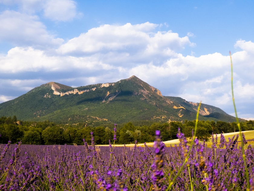 Randonnées Aix-en-Provence : Sainte-Victoire, Vauvenargues et plus (2026)