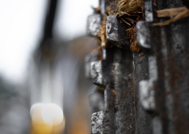 a close up of a tree trunk