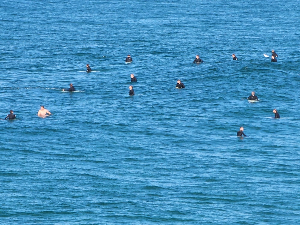 a group of people swimming in the water