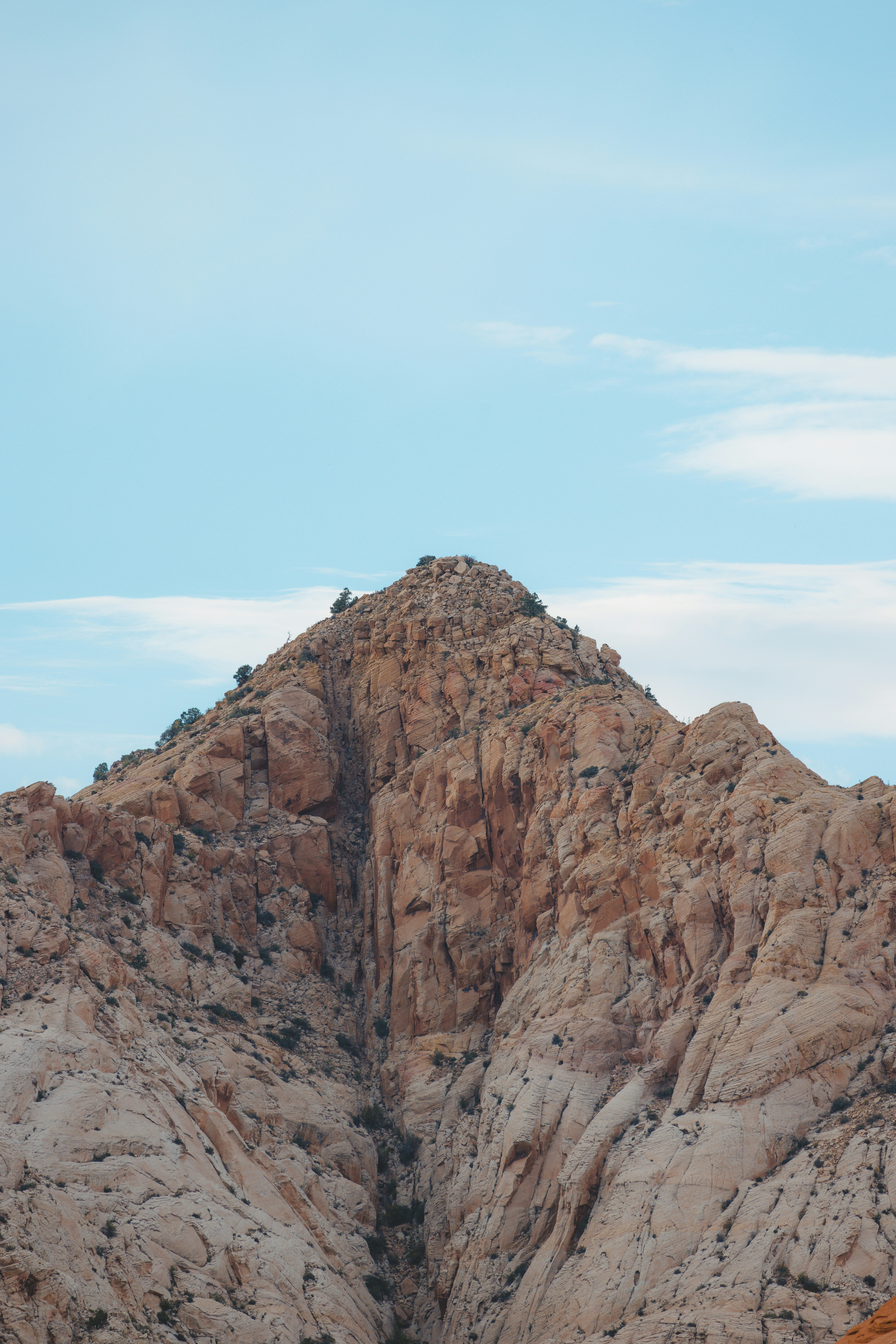 Photo by isaactmitchell