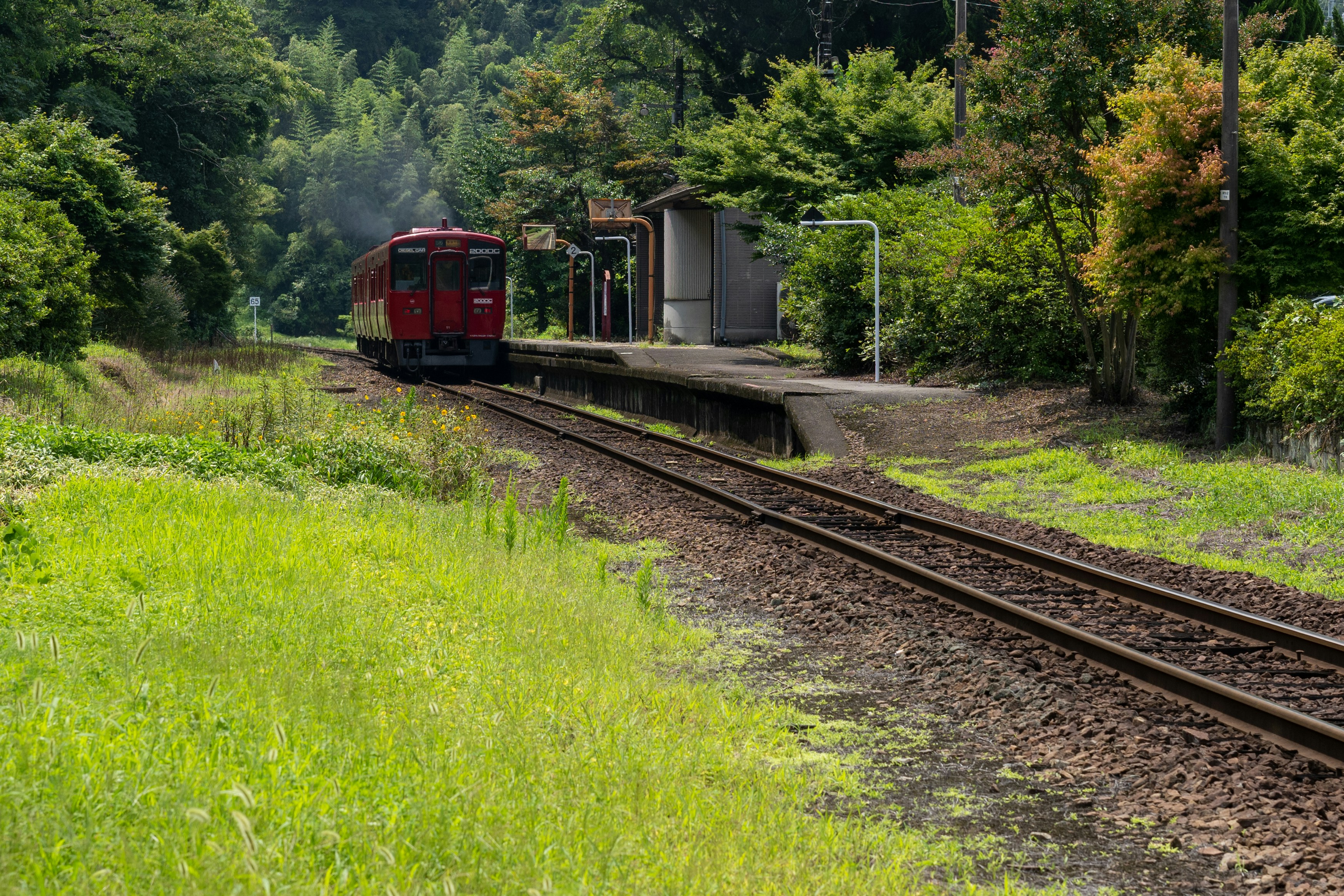 a train on the railway tracks