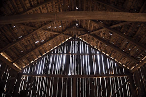 Sunlight streaming through the barn windows, illuminating hay bales and curious chickens