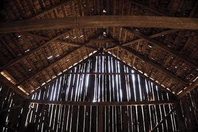 Rustic wooden barn door with sunlight streaming through nearby trees.