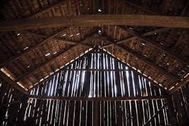 Sunlight streams through the gaps in the wooden slats of a rustic barn wall, creating patterns of light and shadow. The wooden beams and structure are visible, showcasing the natural textures and warm tones of the wood.
