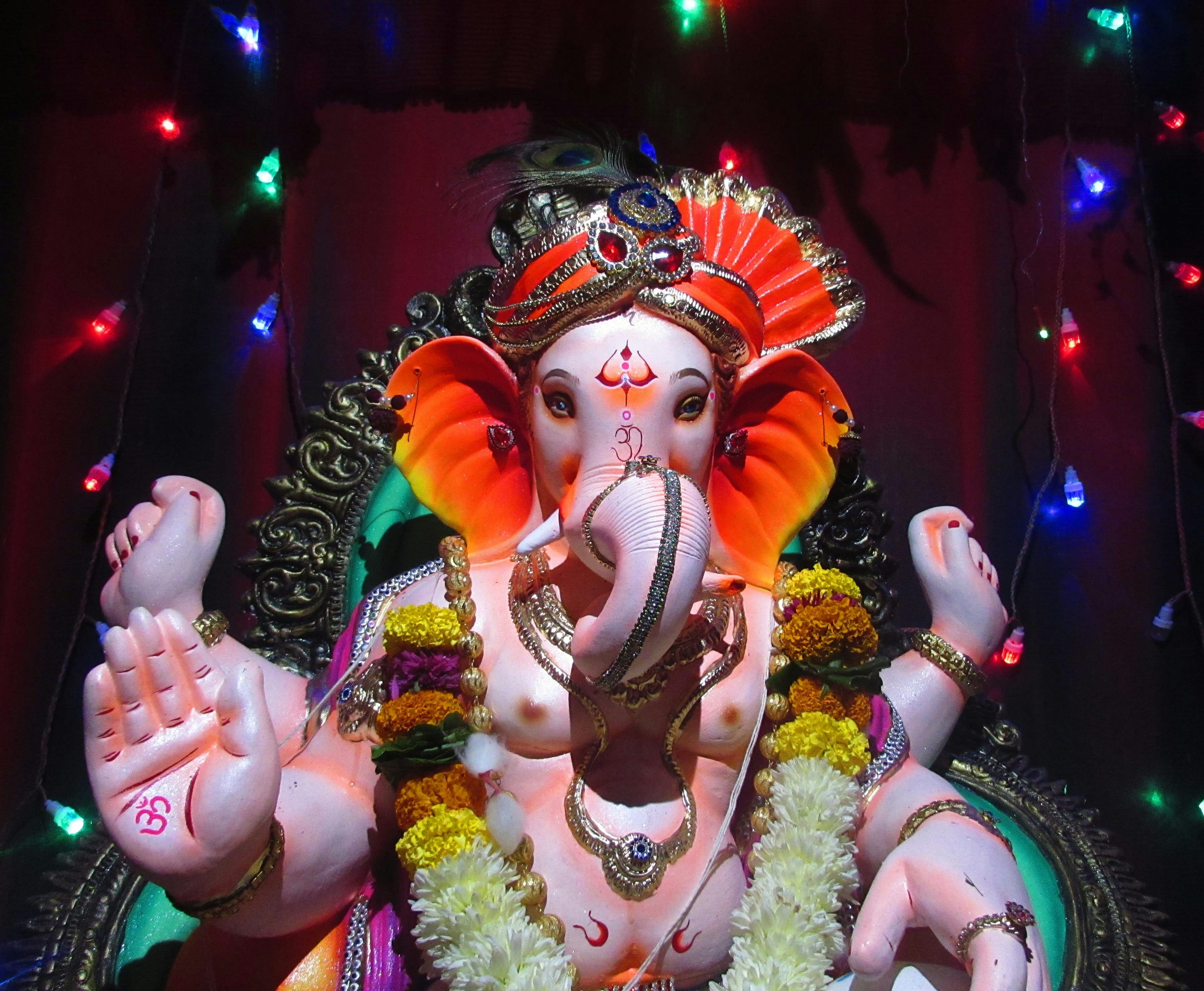 Photo by atharvakanekar22