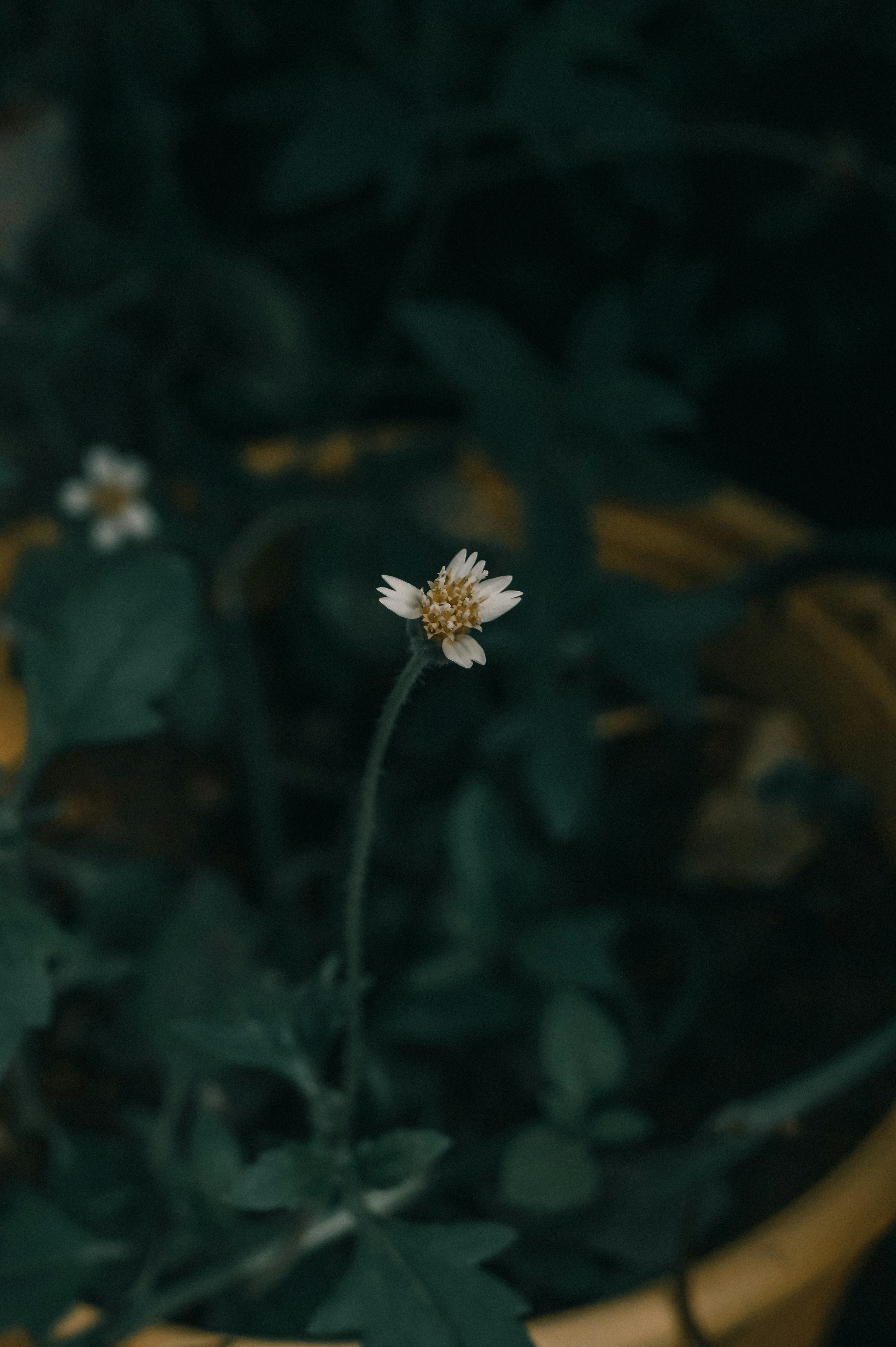 Photo by sharon_franklin_