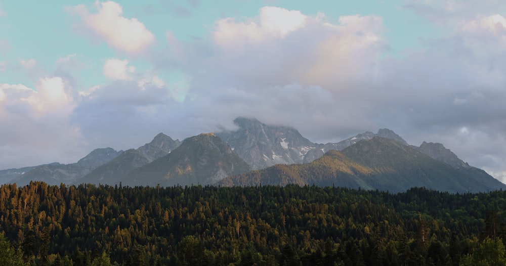 a large green field with a mountain in the background