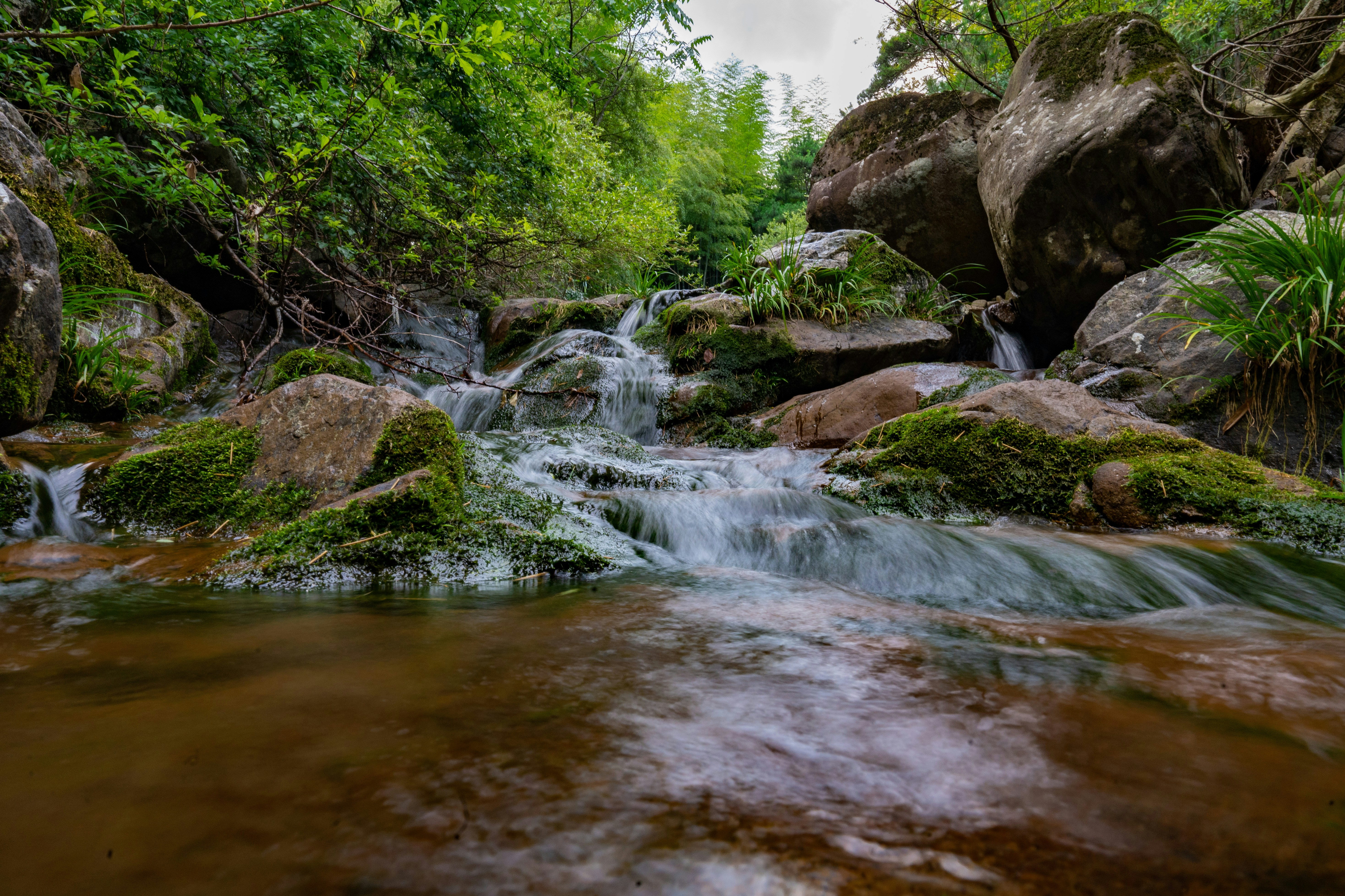 Photo by cjoyb_zheng