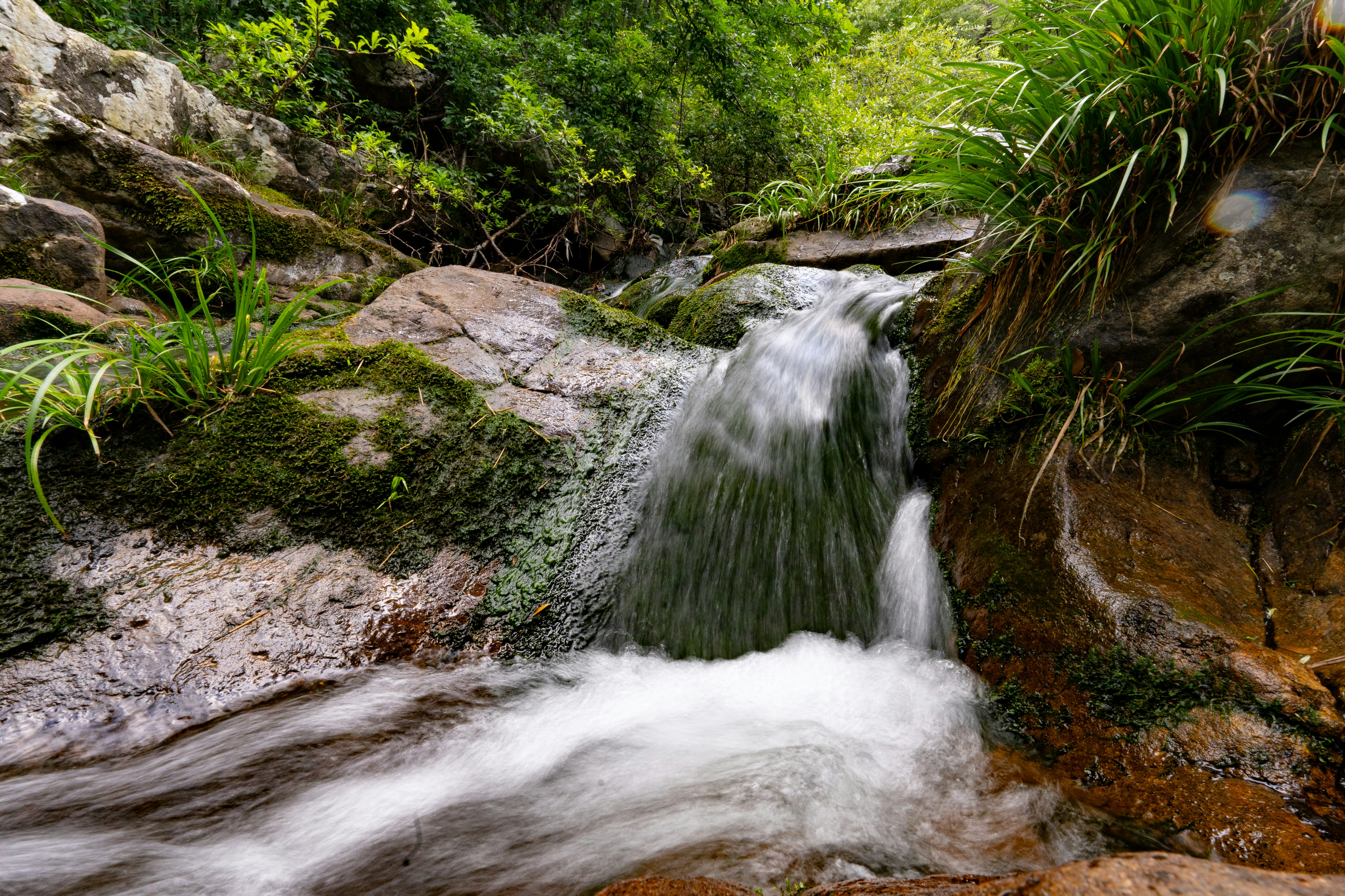 Photo by cjoyb_zheng