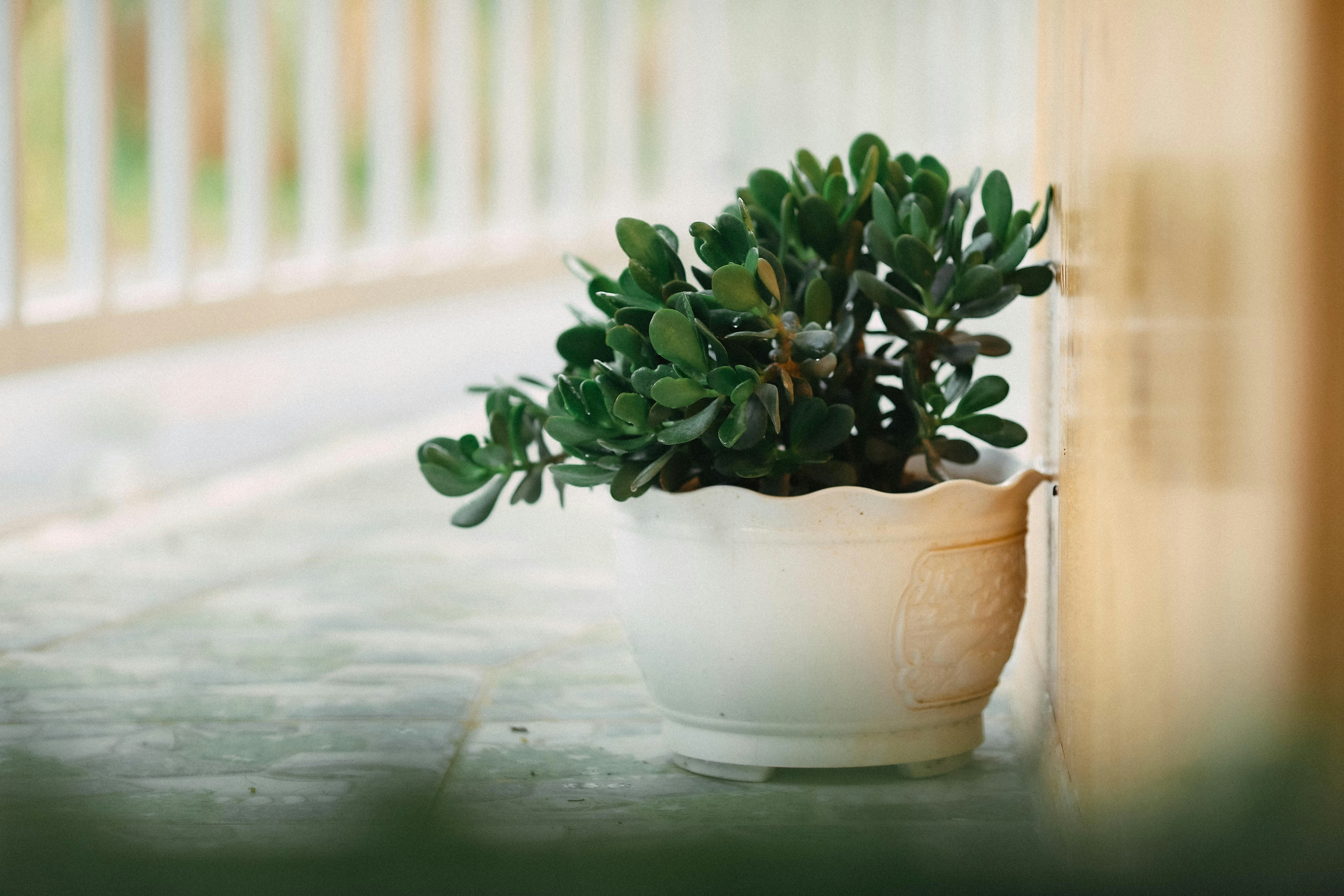 Photo by defiernguyen