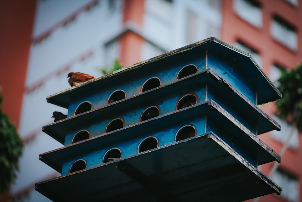 a bird sitting on a birdhouse