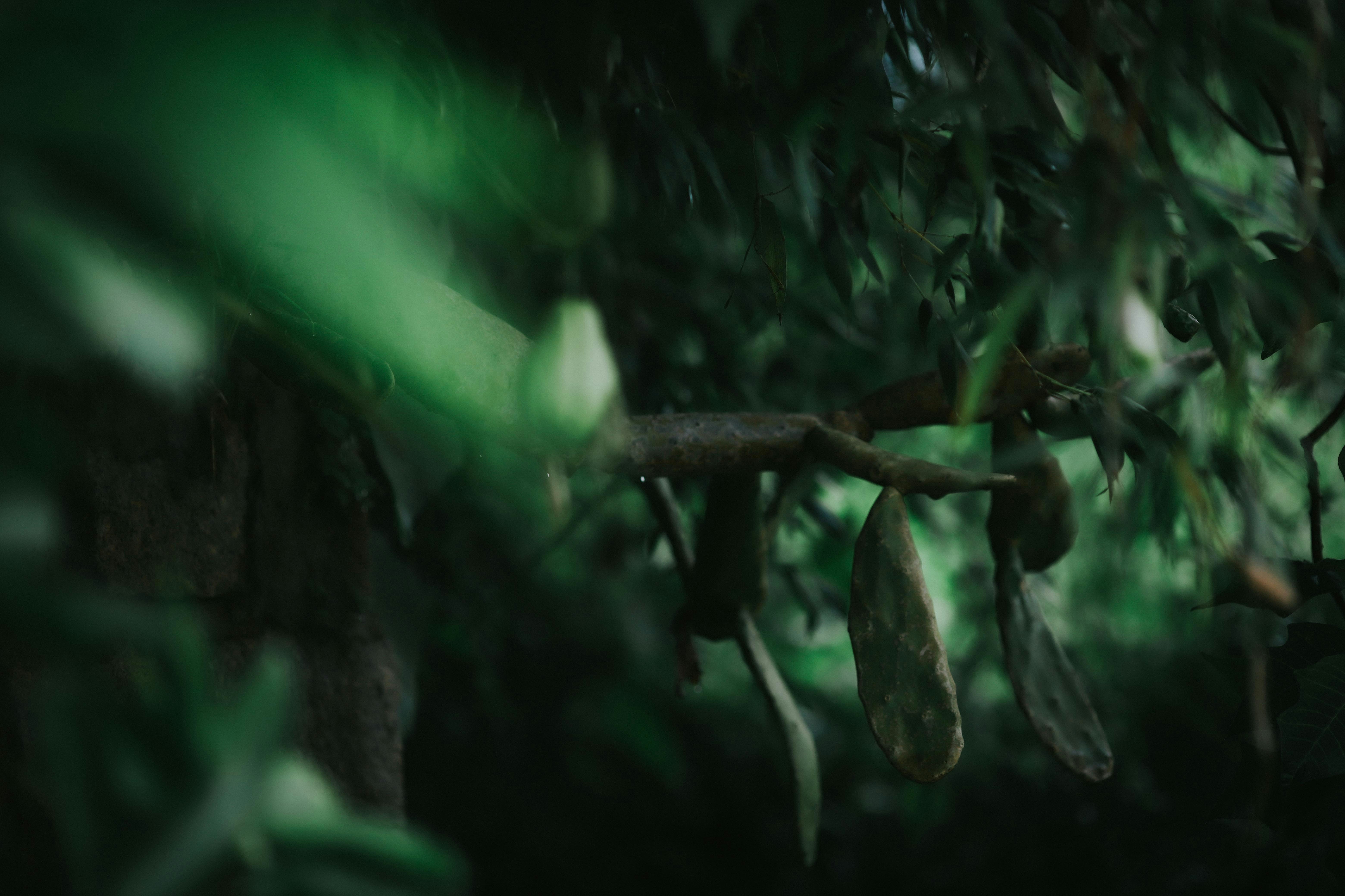 Photo by defiernguyen