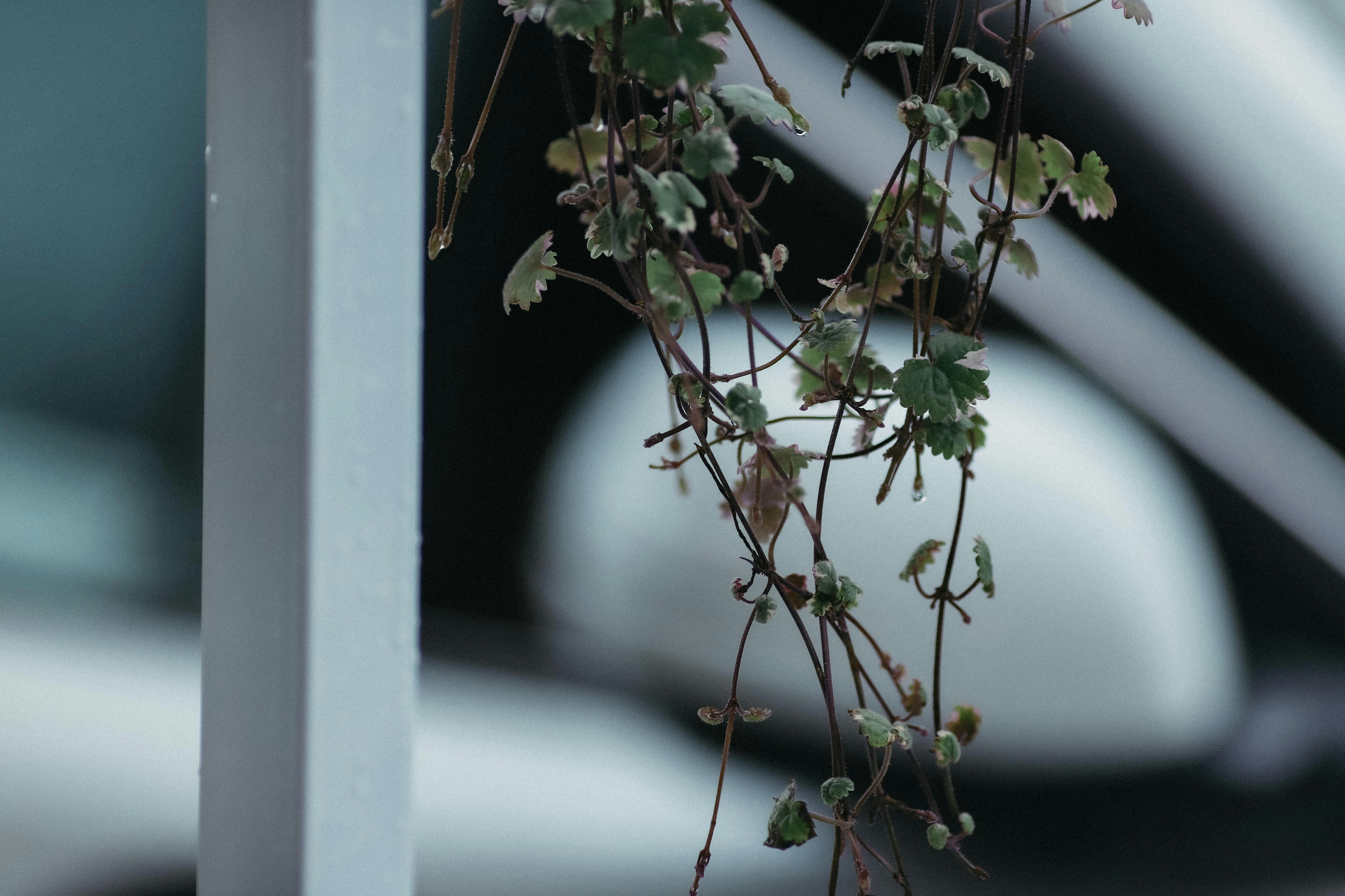 Photo by defiernguyen