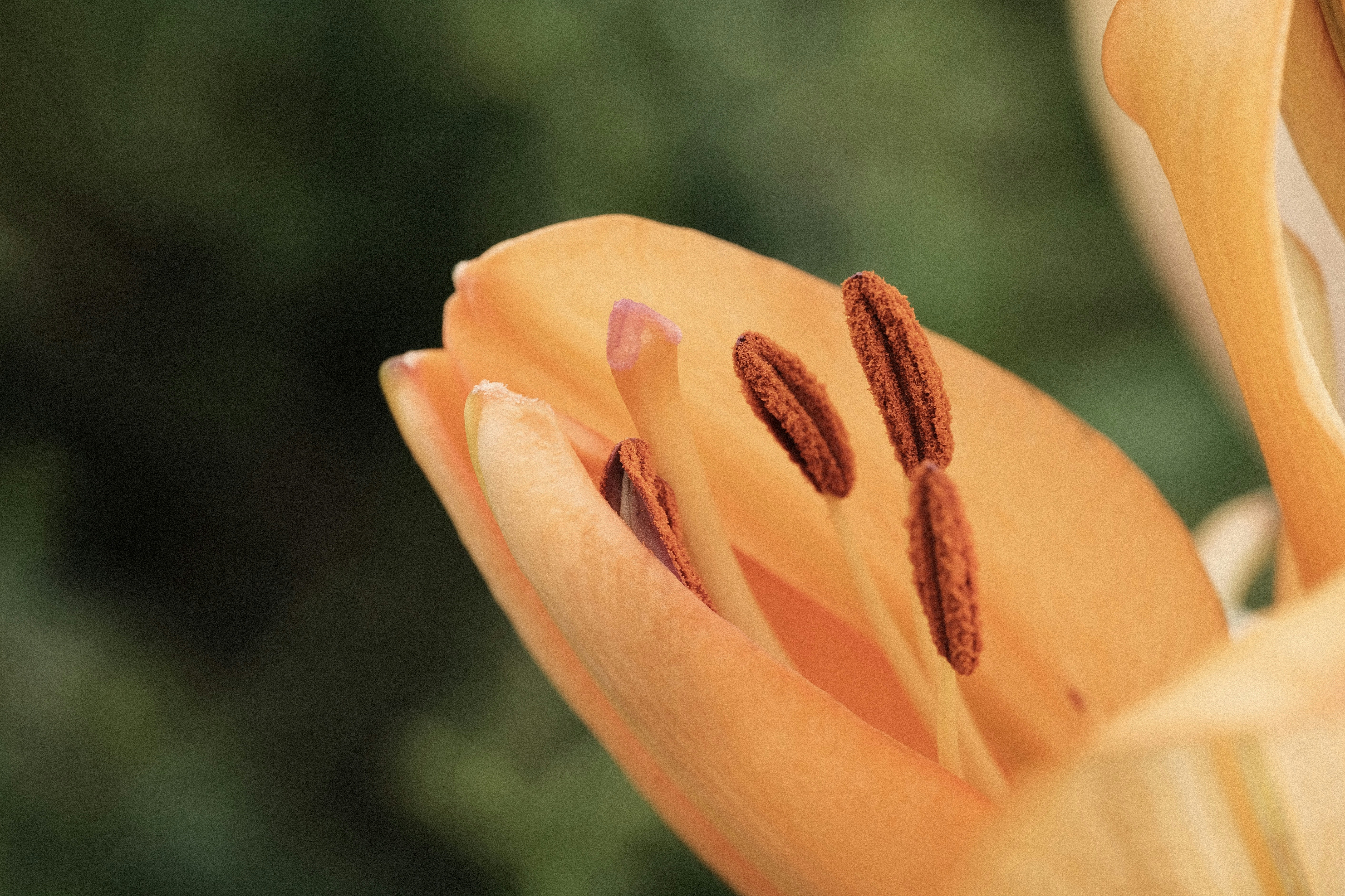 Eco Nails Spa