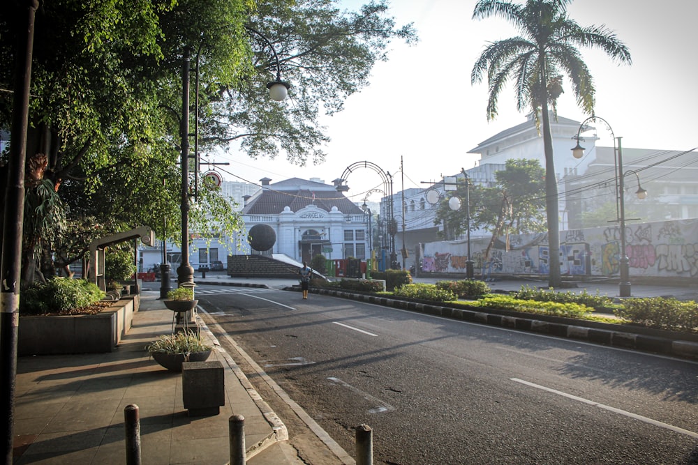 a street with trees and buildings on the side