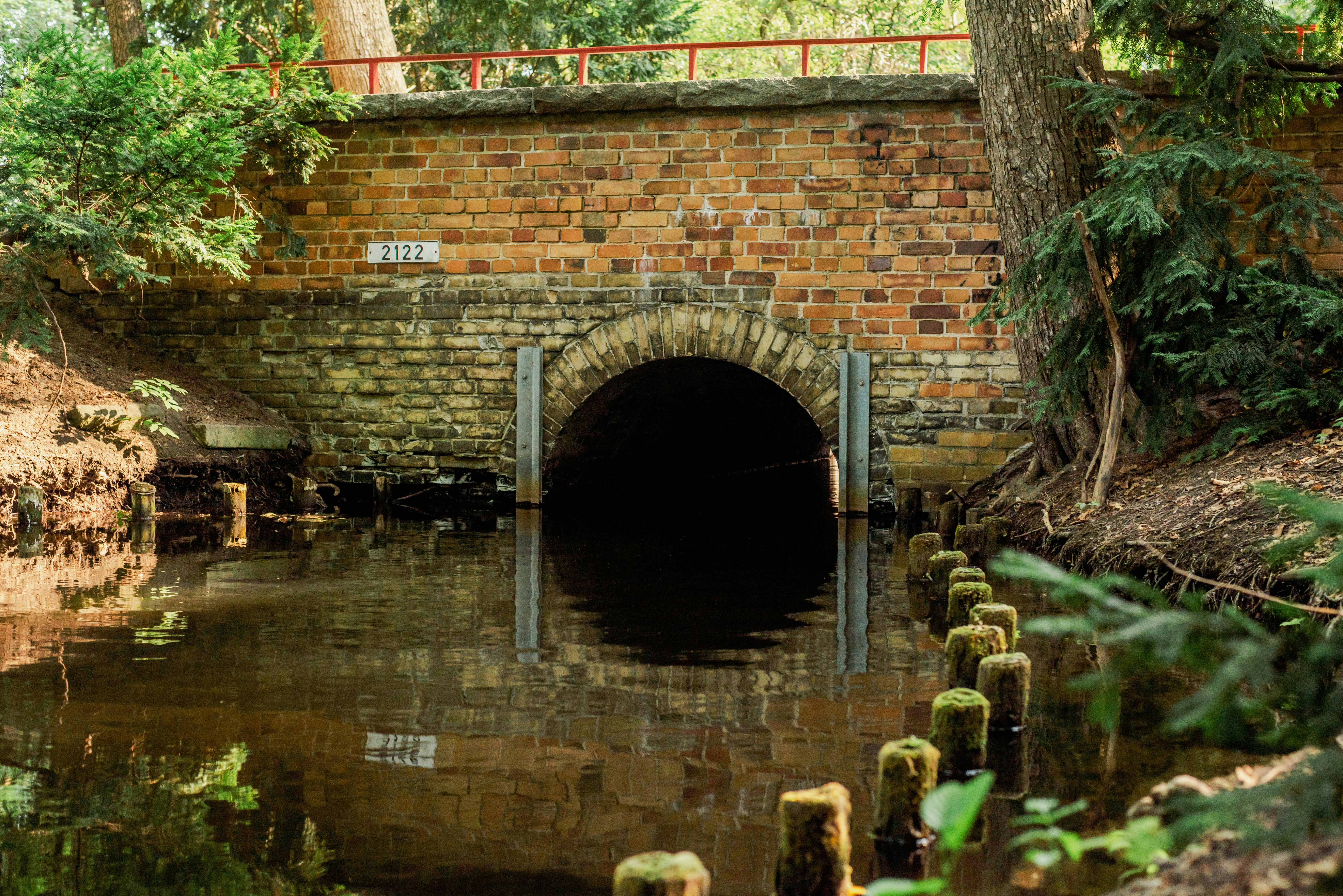 Photo by eugenivy_now