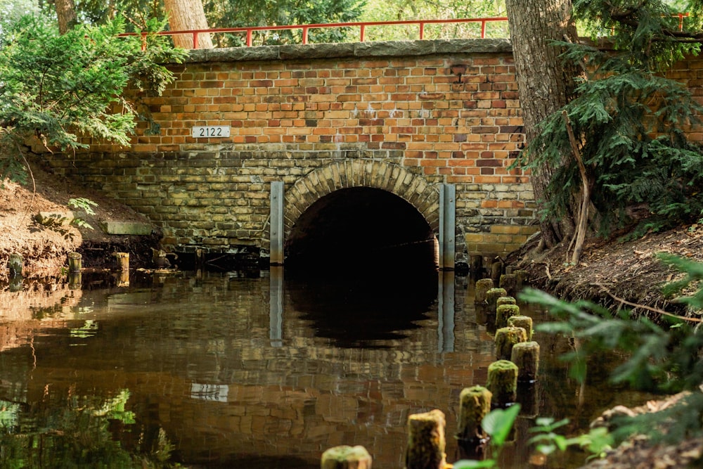 um túnel de tijolos com água nele