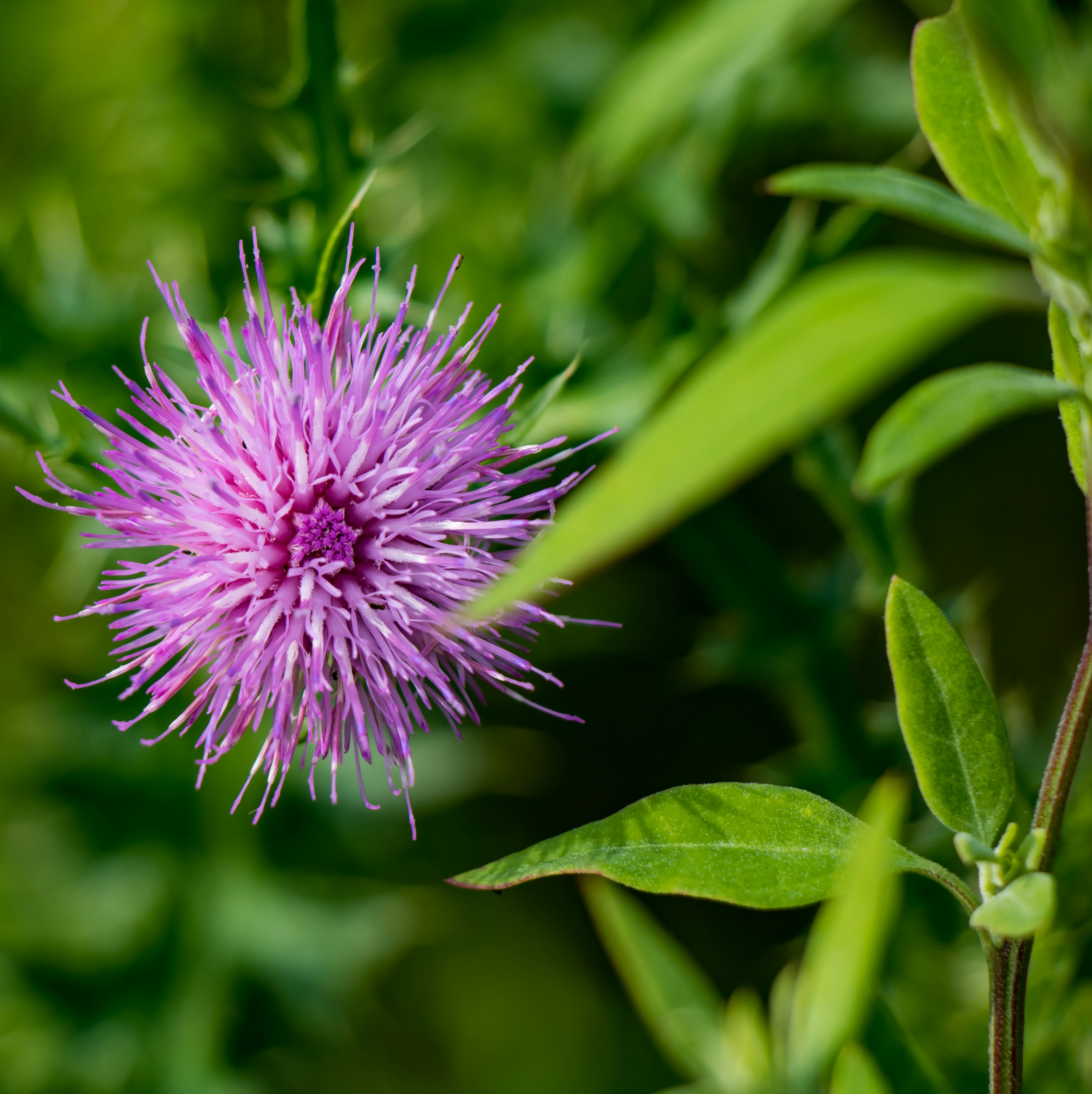 Photo by djordje1982