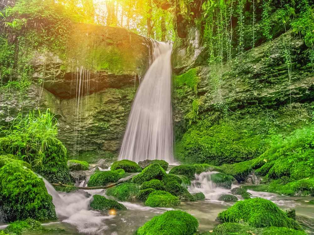 Una cascata in una foresta