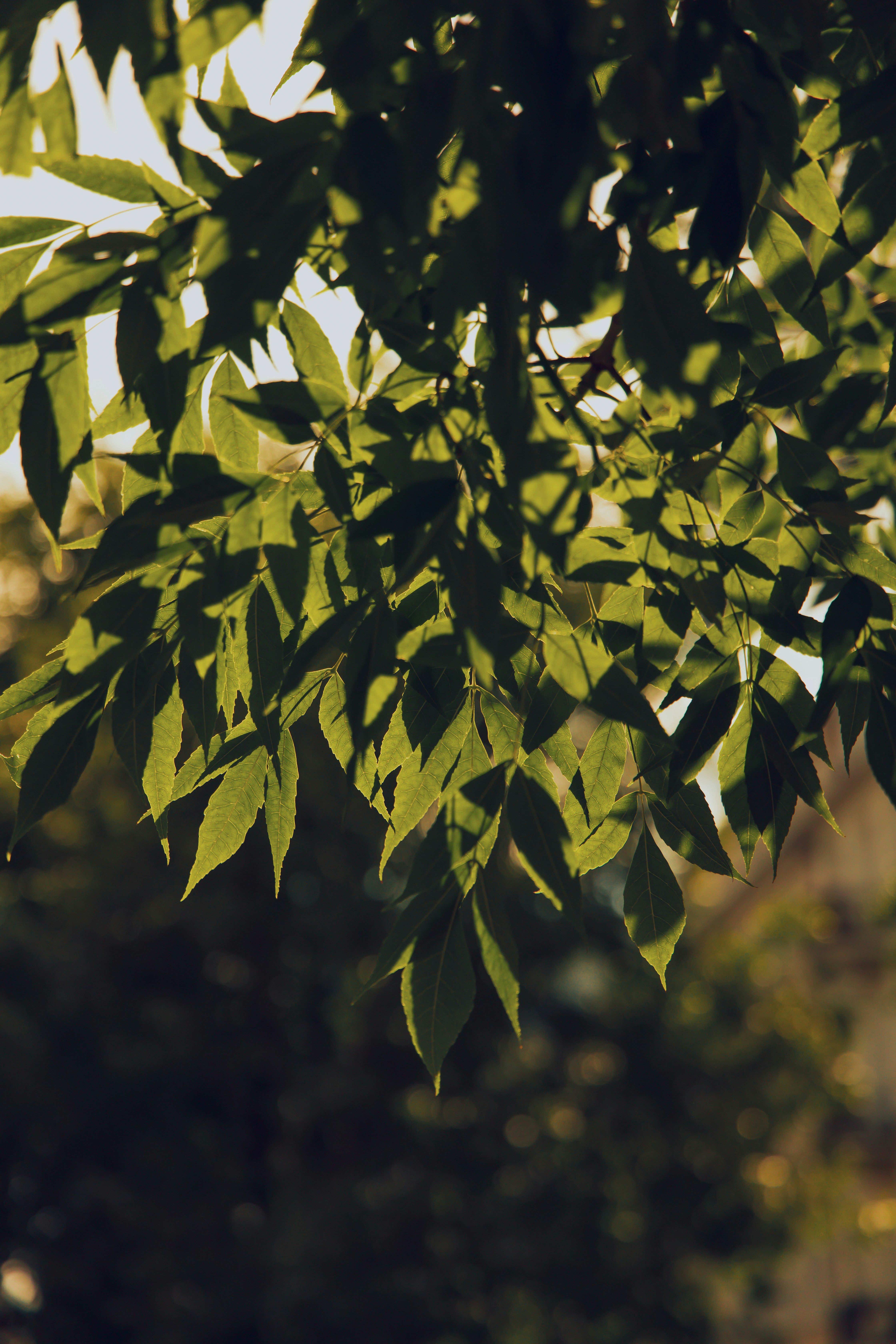 Photo by ammysinghphotography