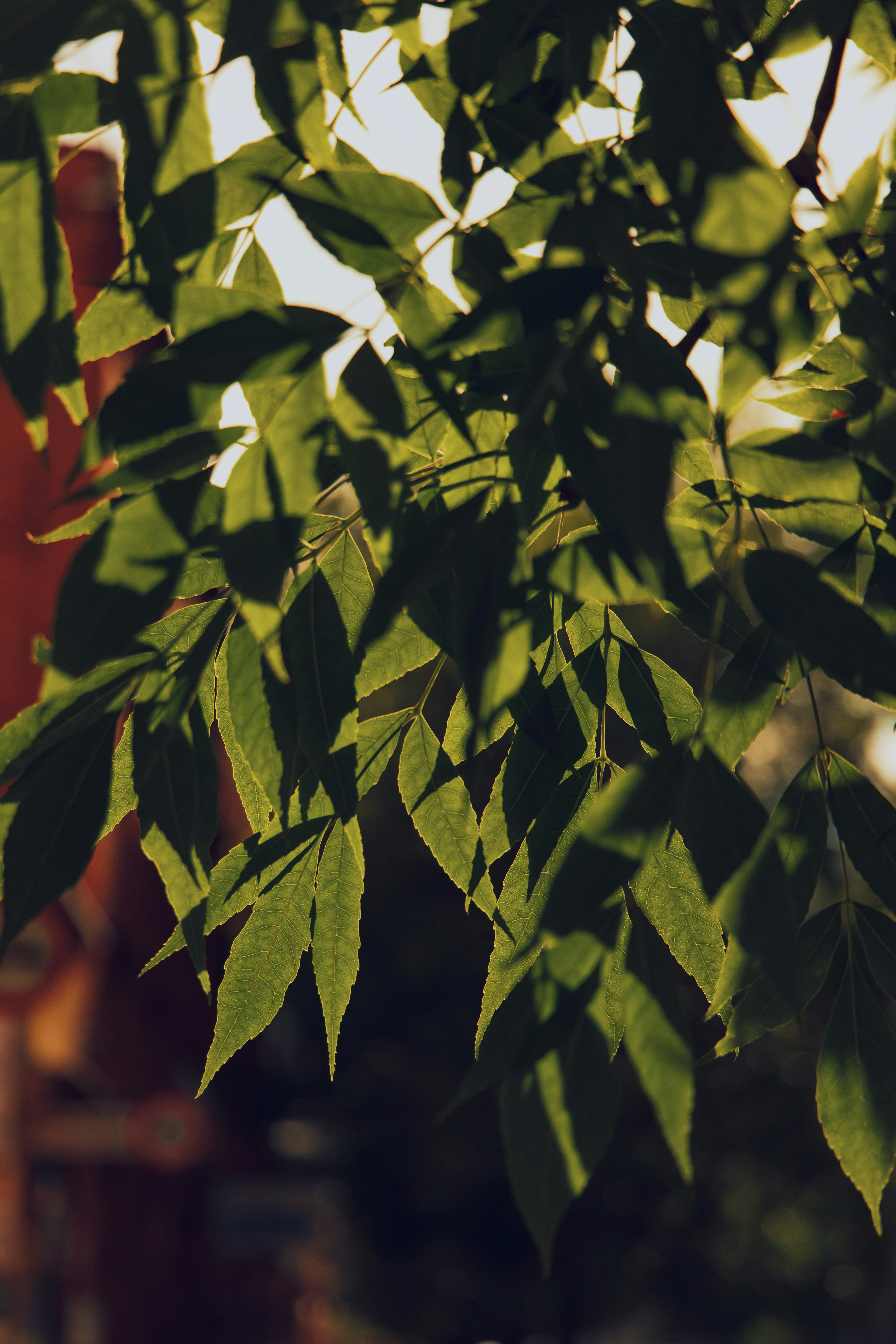 Photo by ammysinghphotography