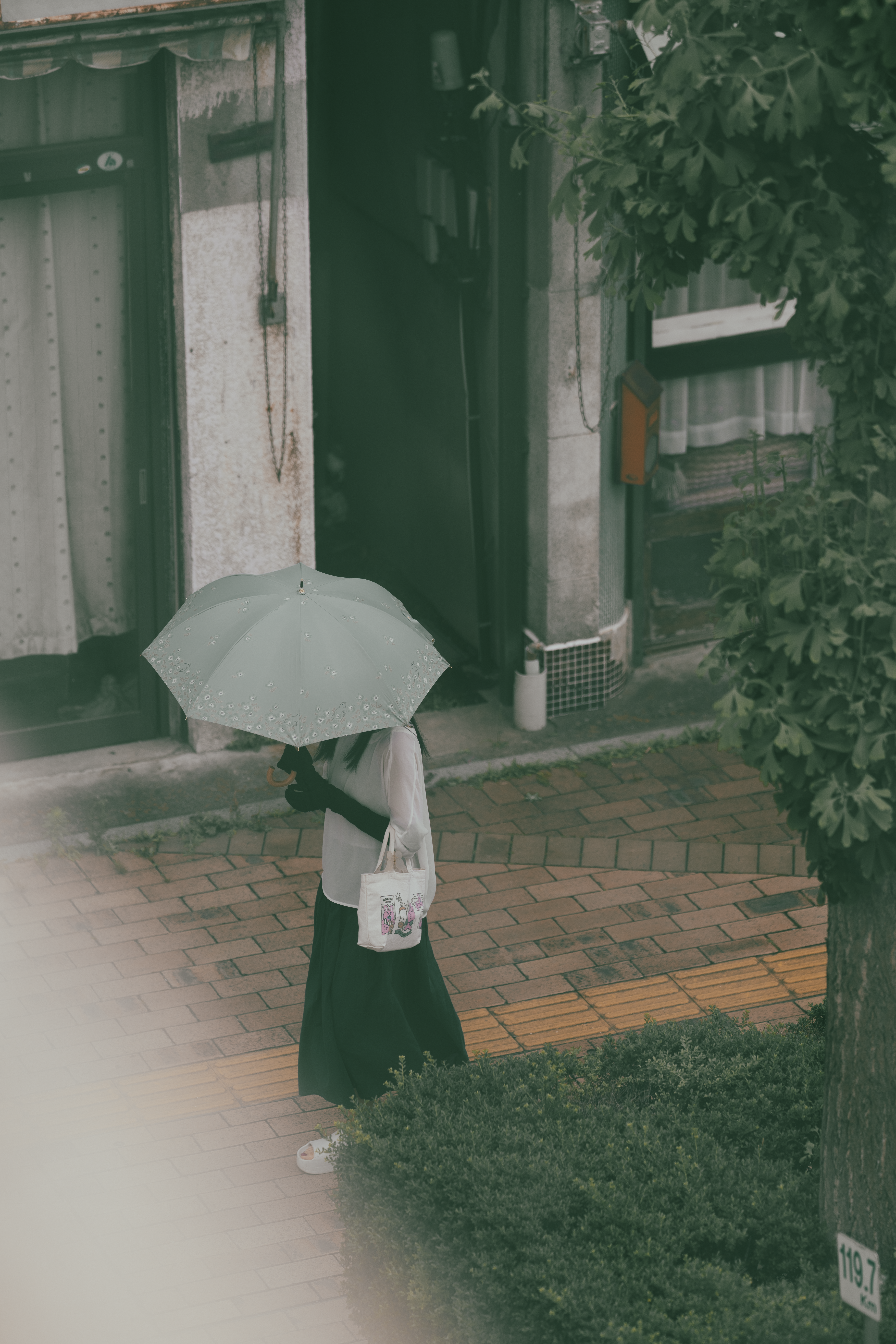 Photo by tiendat4393