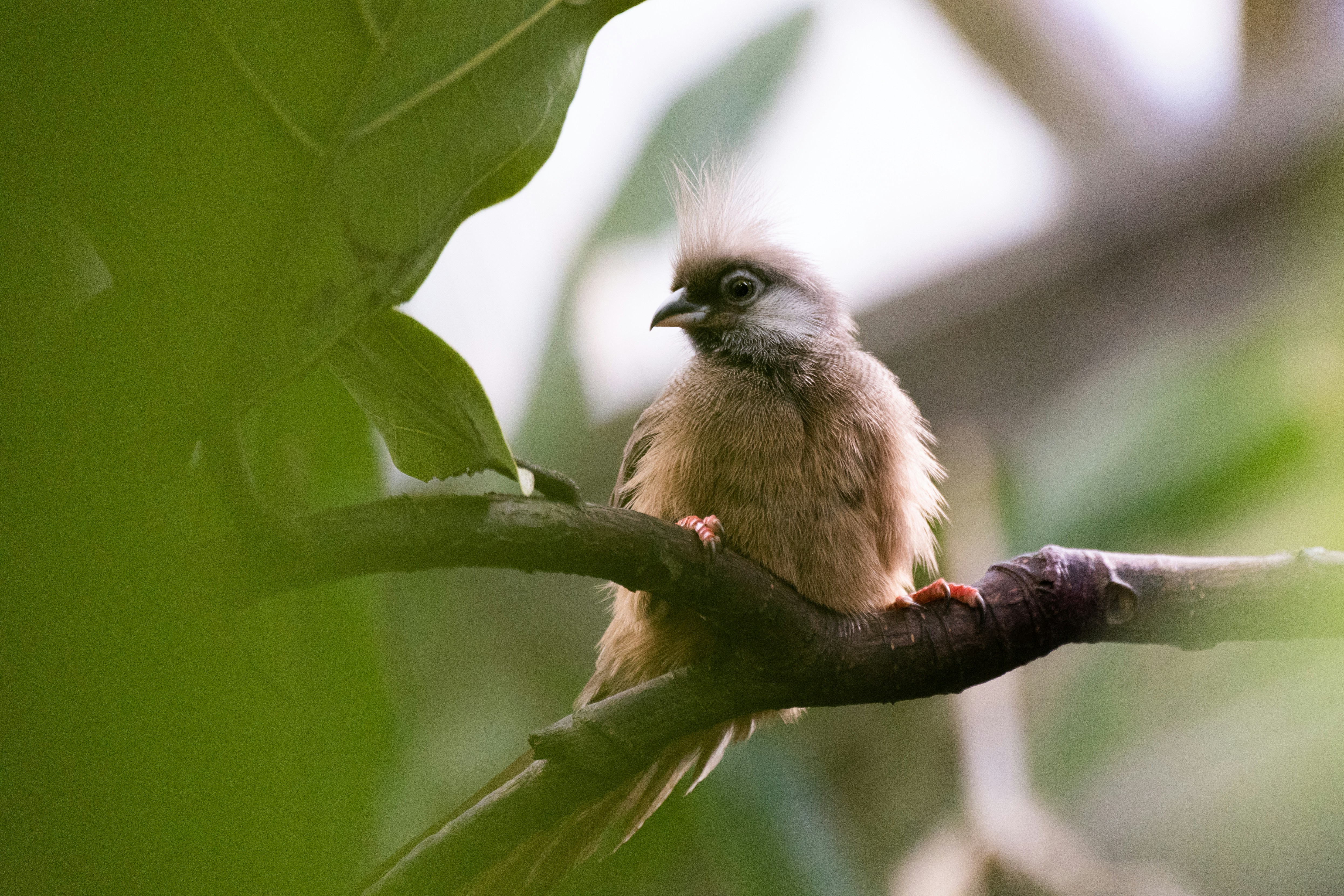 Photo by fridalannerstrom