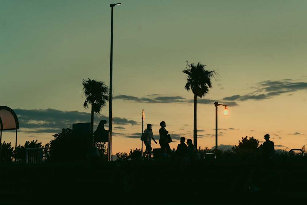 a group of people standing in a field with palm trees and a sunset