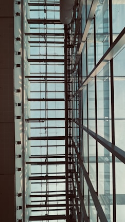 A wide-angle shot of a modern London structure blending glass, concrete, and steel under soft natural light.