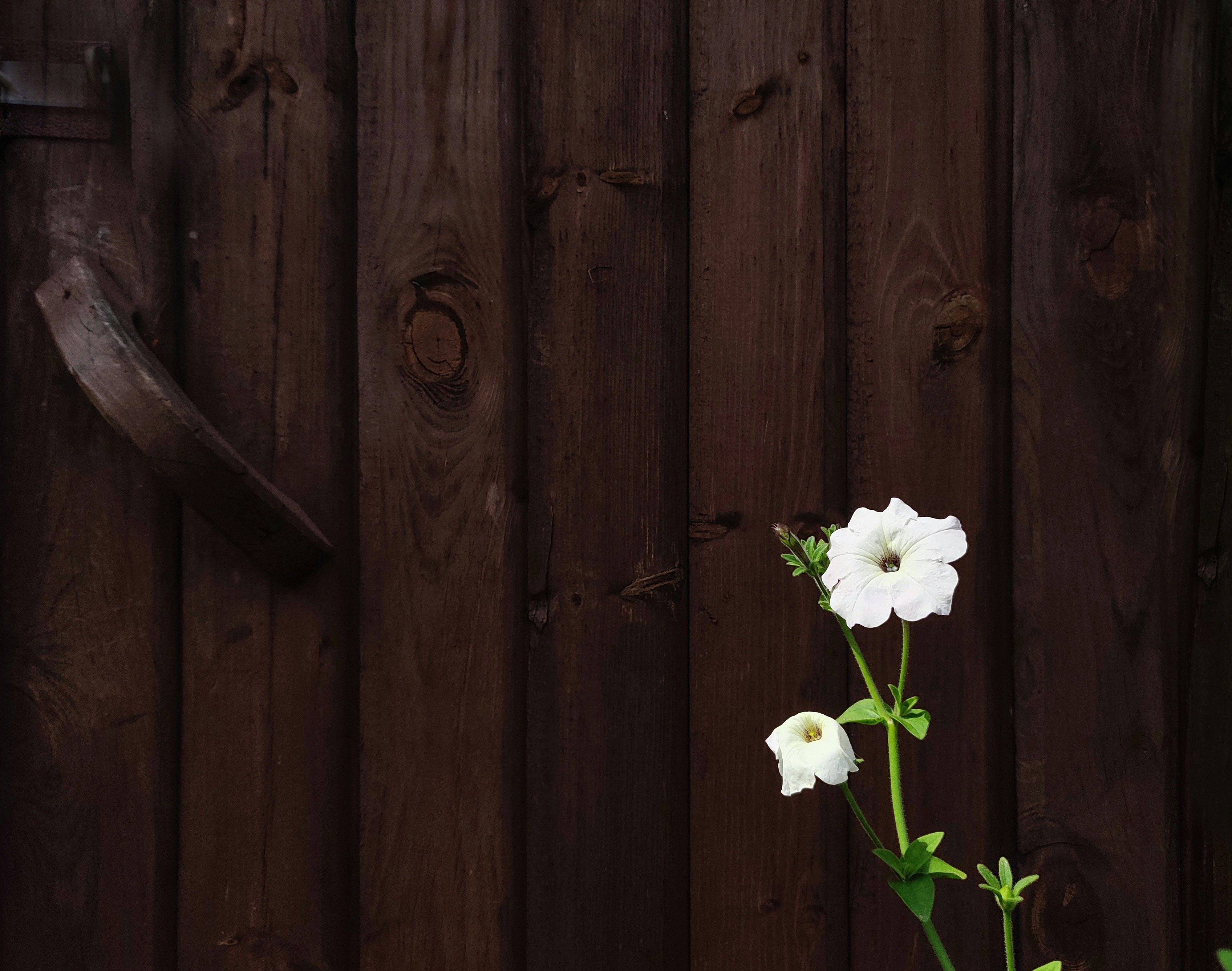 Photo by mrparalloid