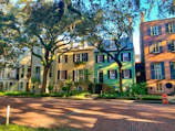 A charming historic neighborhood street showcasing several beautifully preserved homes.