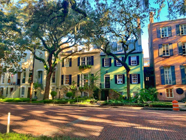 A vibrant Columbus neighborhood street with charming houses and tree-lined sidewalks.