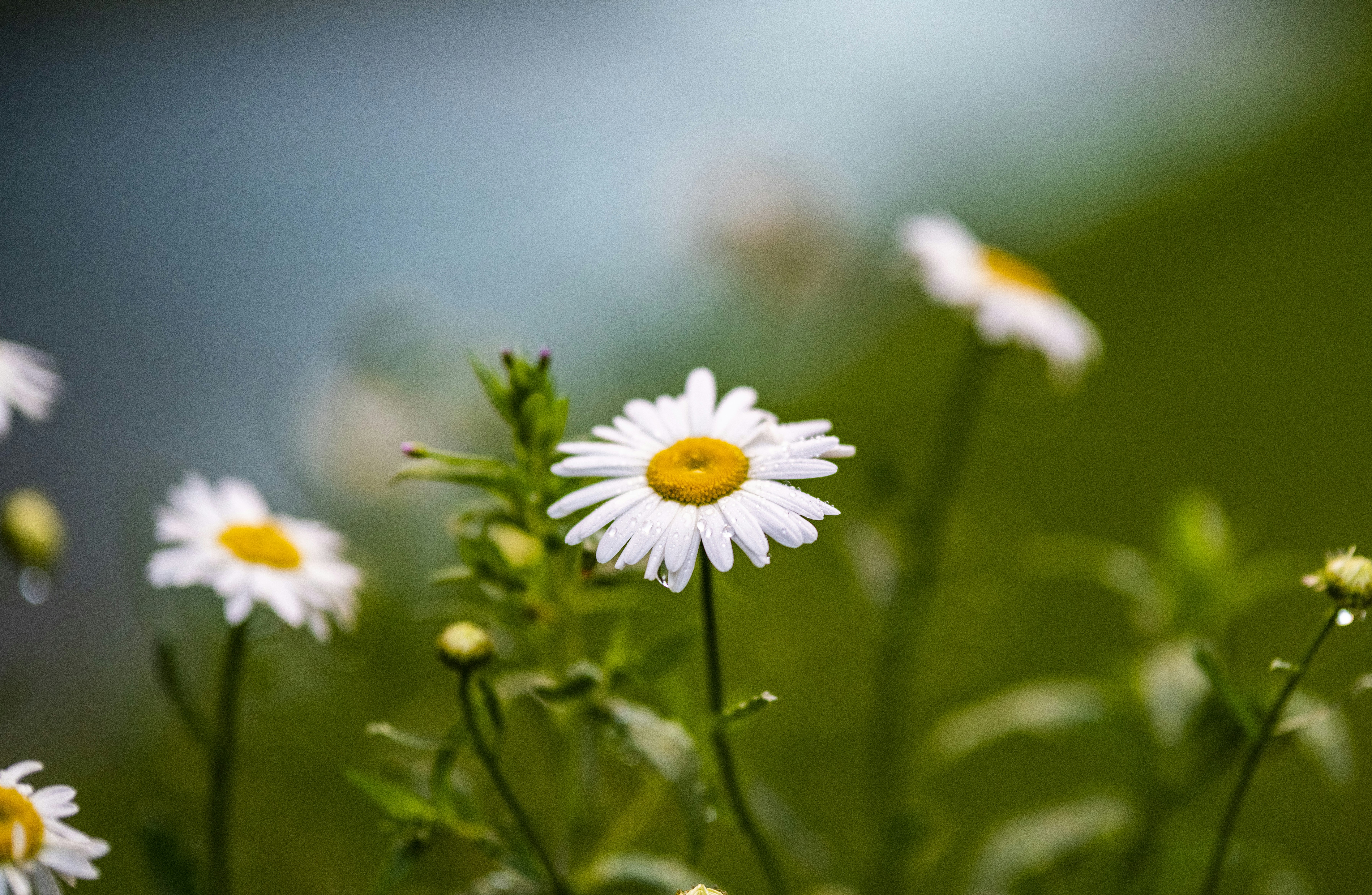 Unsplashで見つける壁紙の無料写真