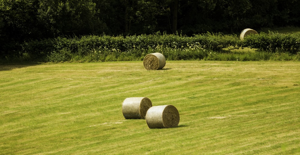 a group of bales of hay in a field