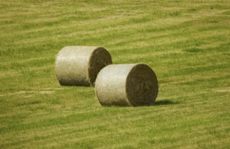 a group of bales of hay on a field