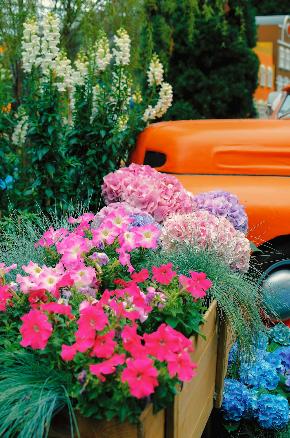 a pot of flowers