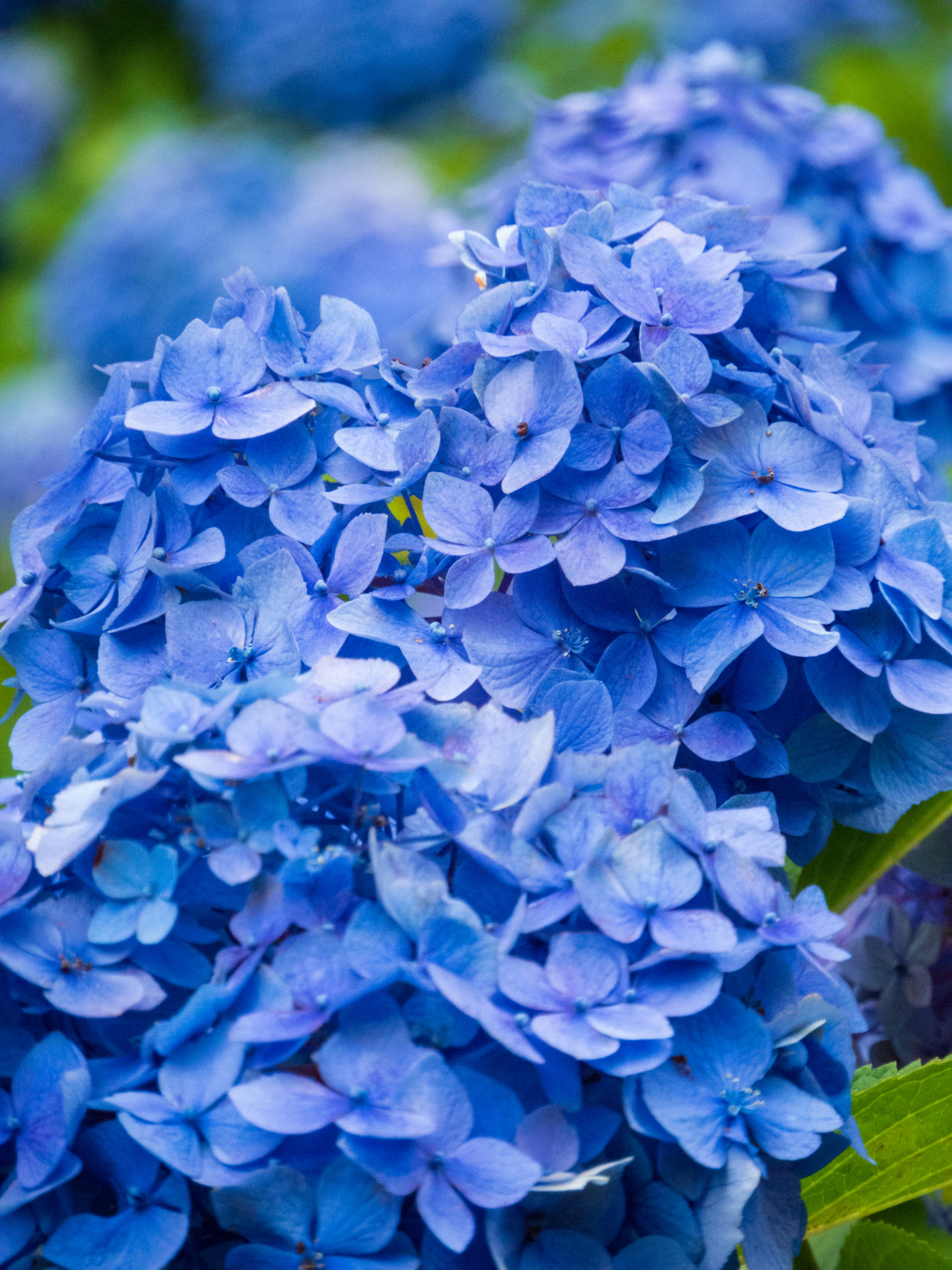 Photo by heppoko_yama