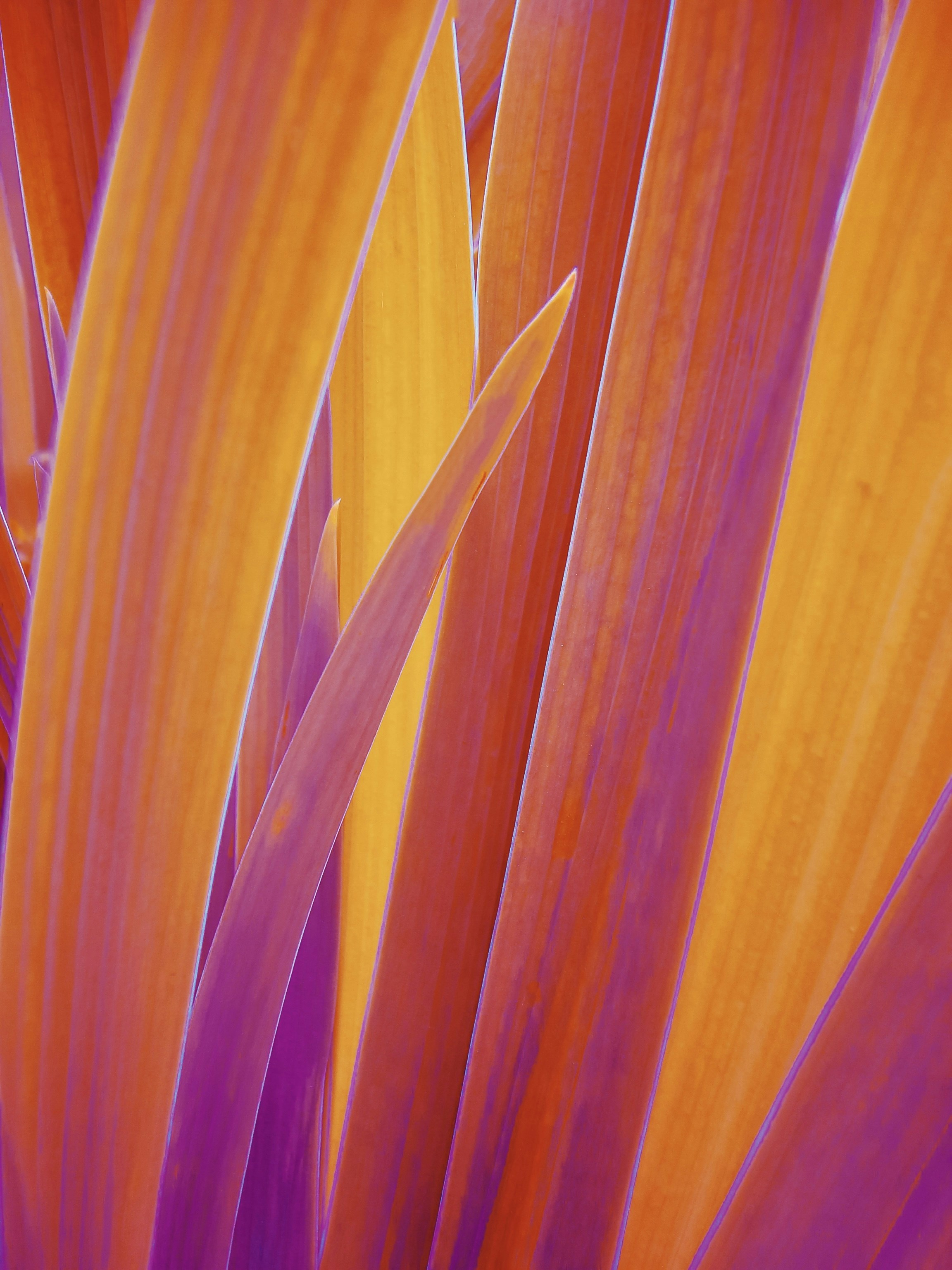 a group of colored pencils