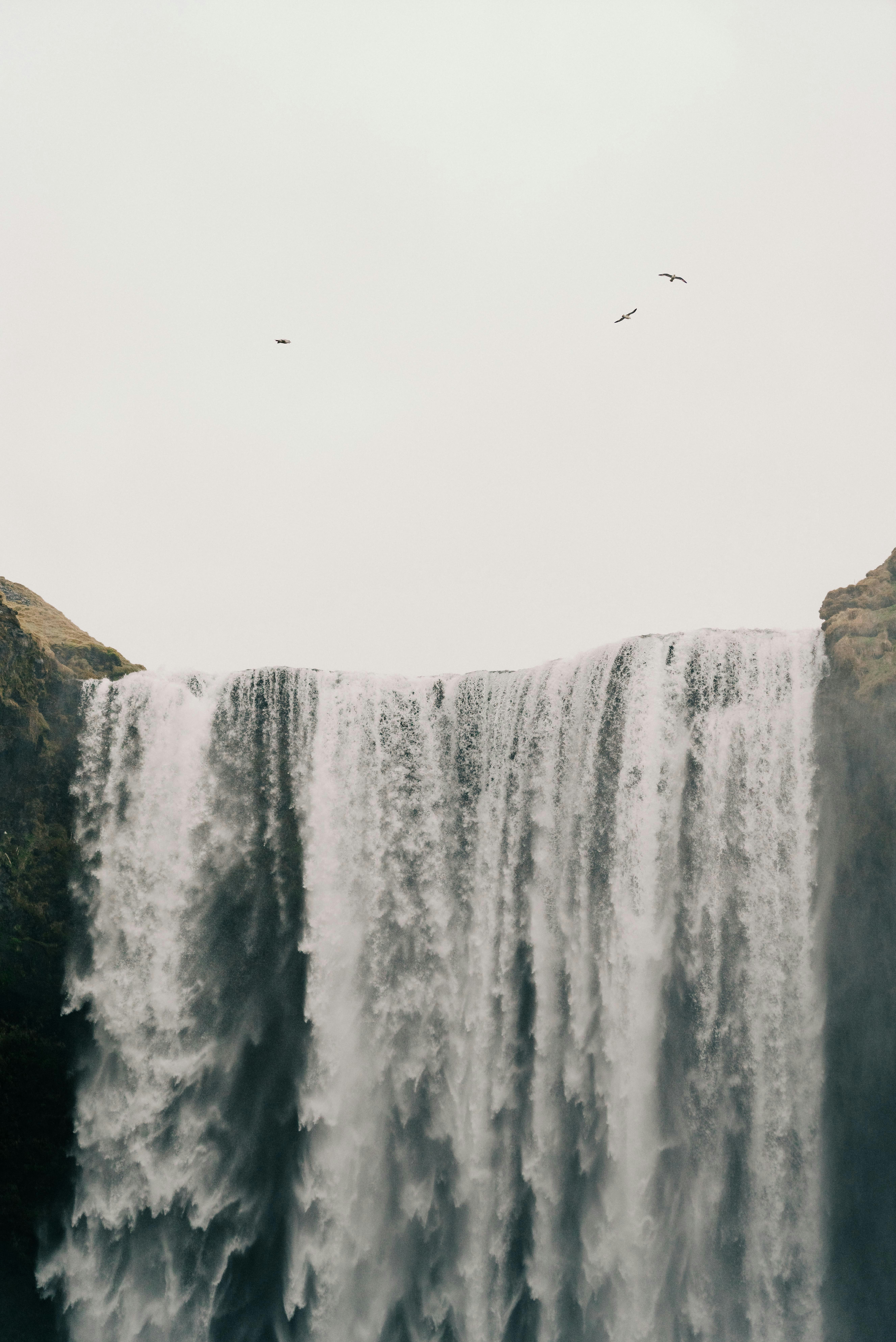 Photo by andreasdress