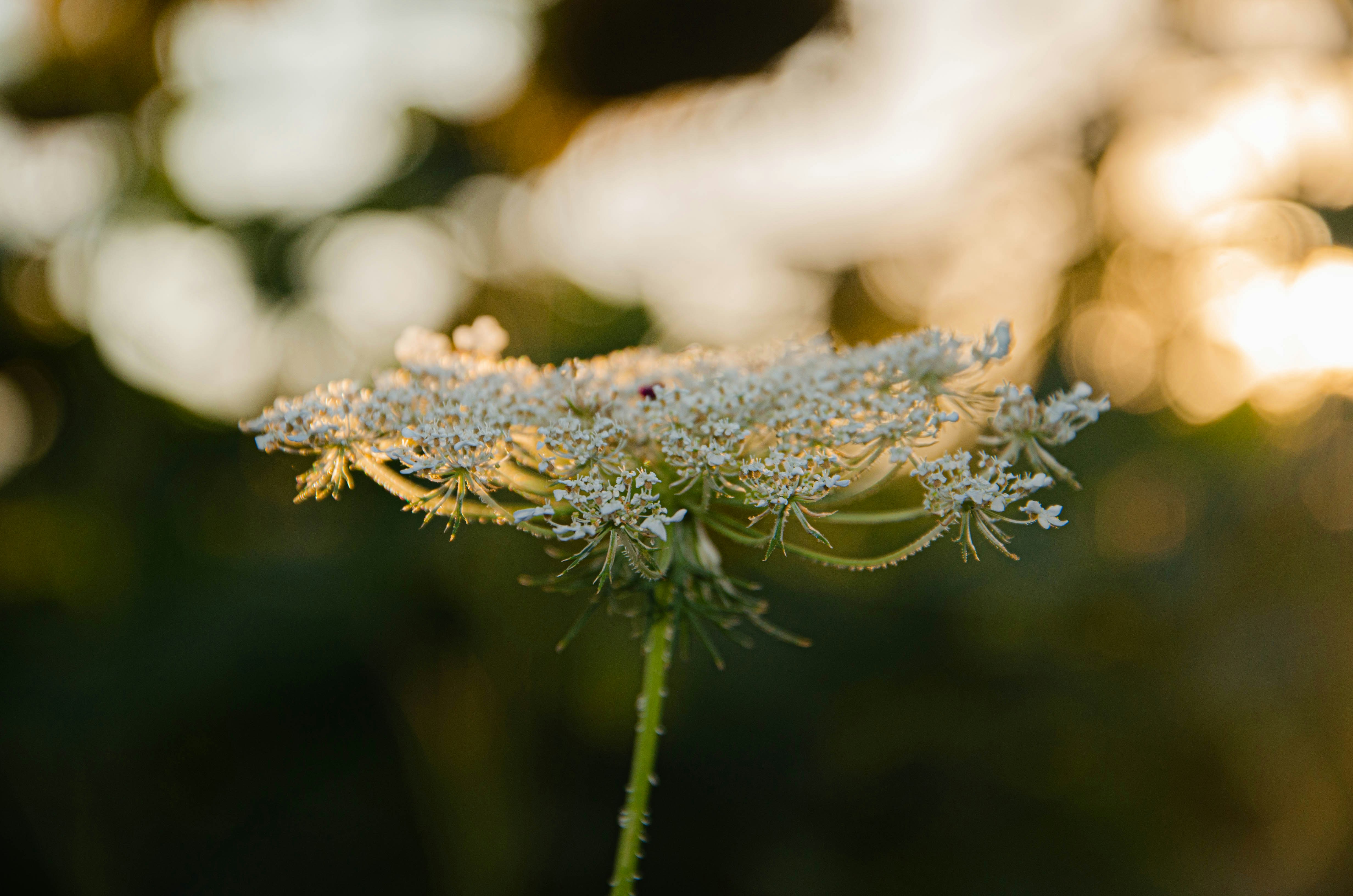 Photo by _florens_spenser_