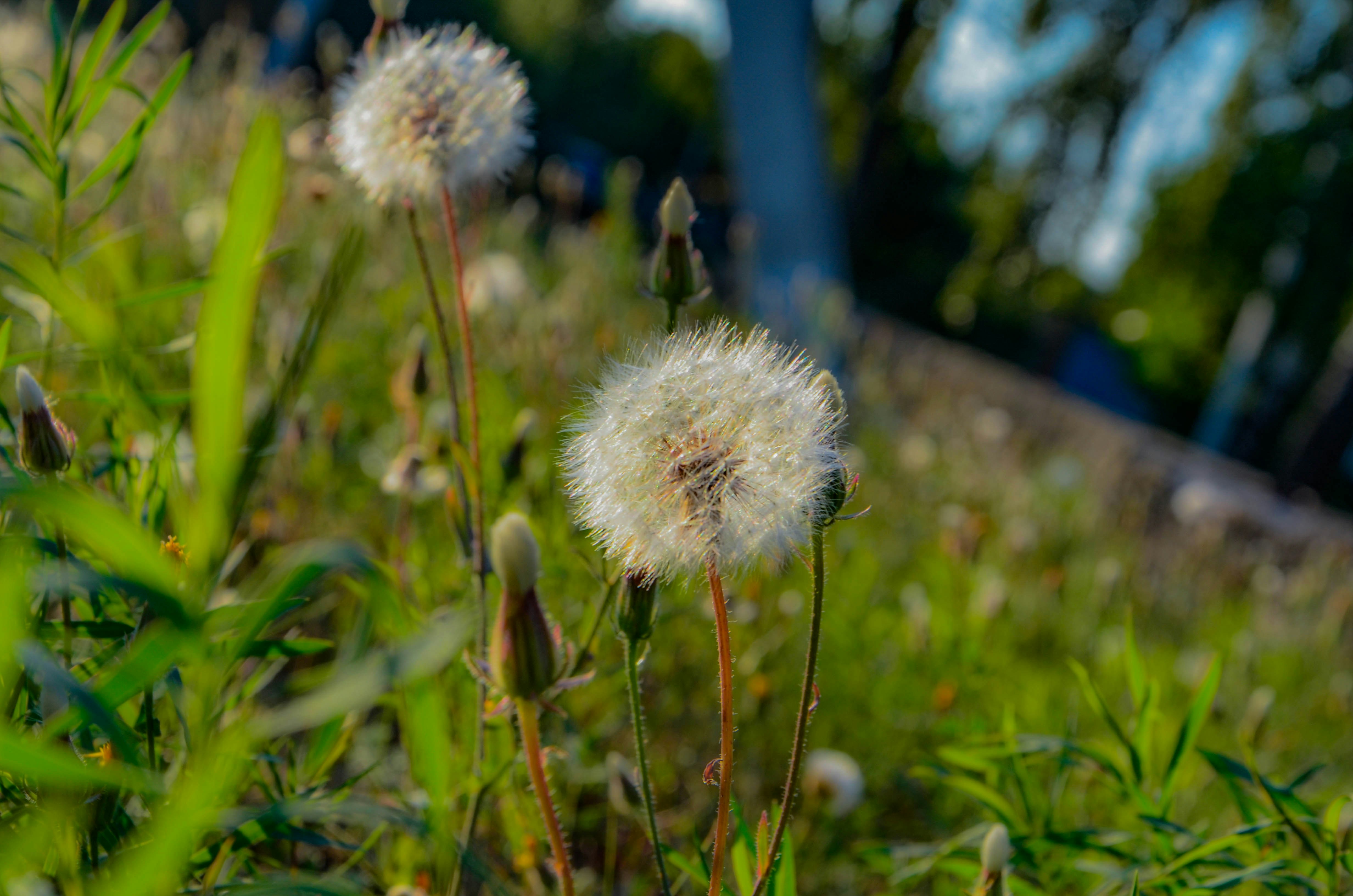 Photo by _florens_spenser_