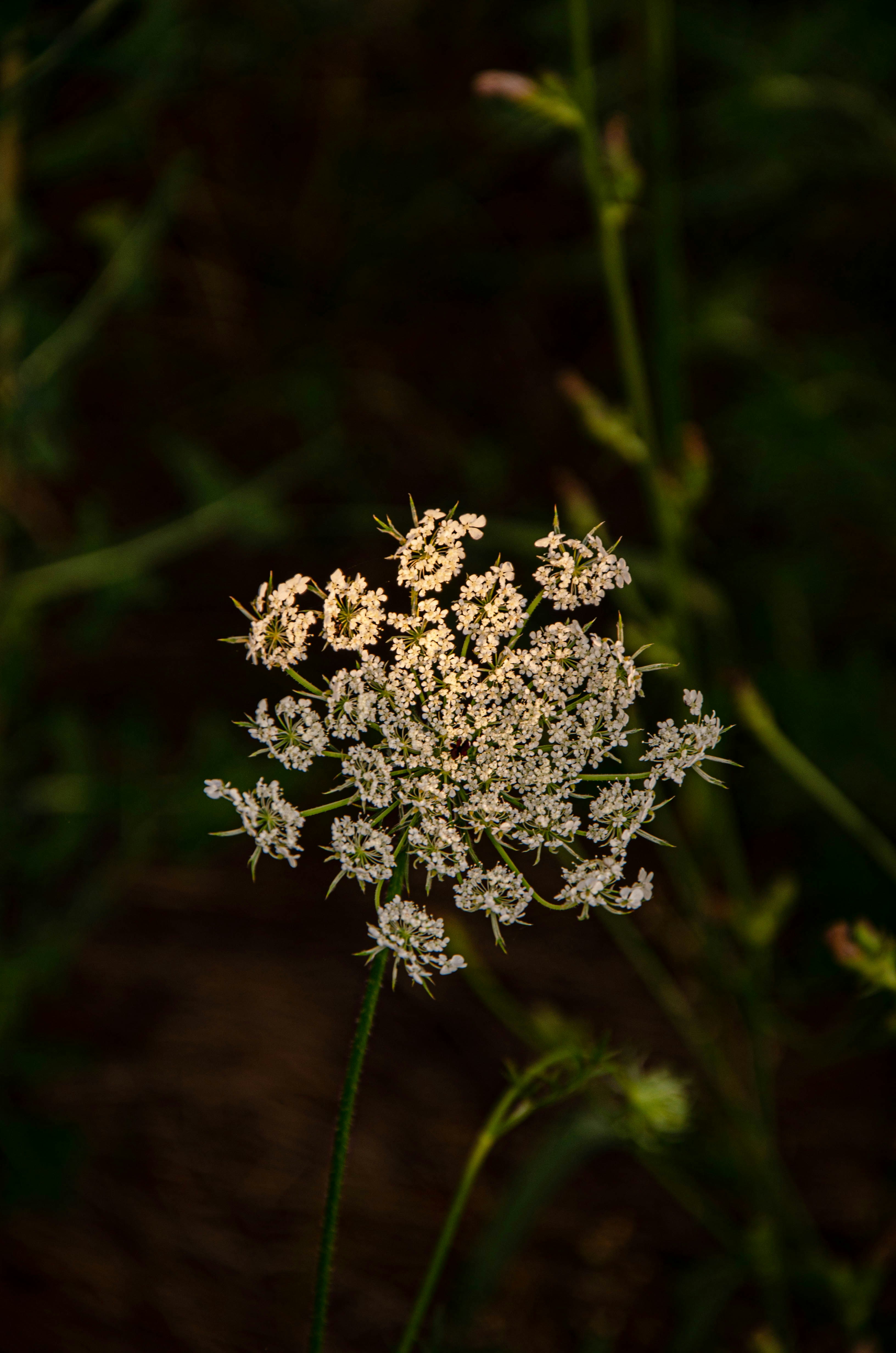 Photo by _florens_spenser_