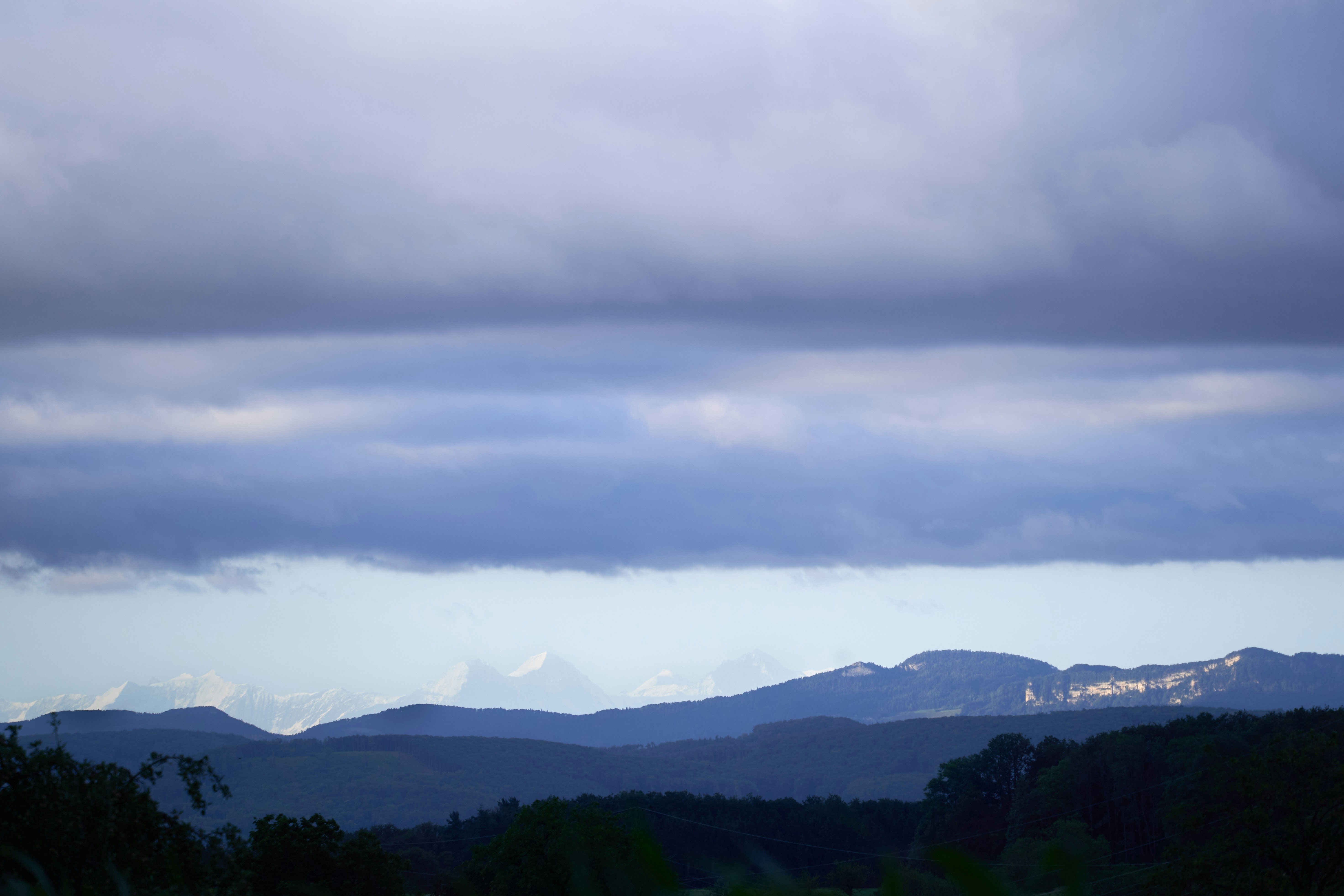 Photo by wolfgang_hasselmann