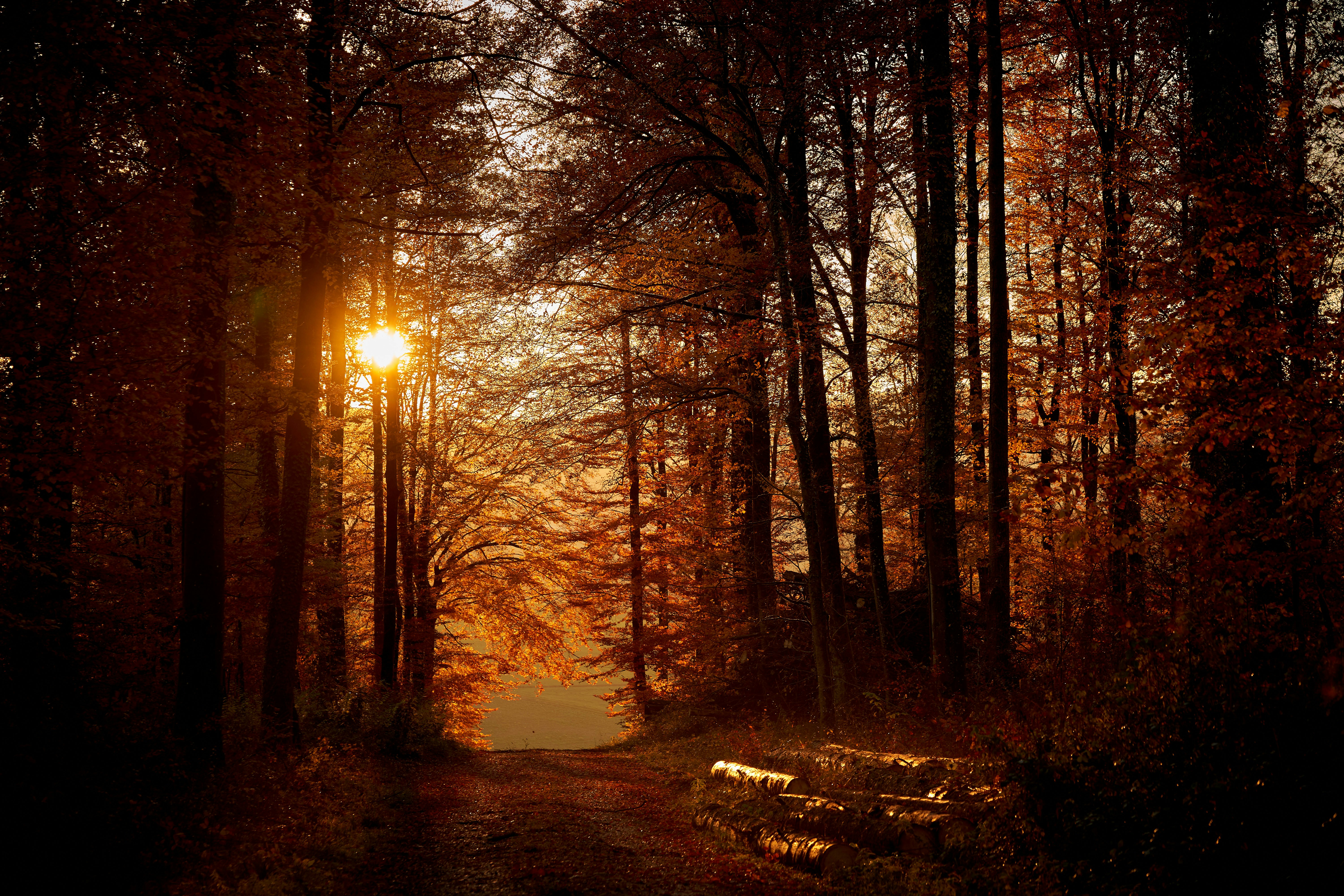 Photo by wolfgang_hasselmann